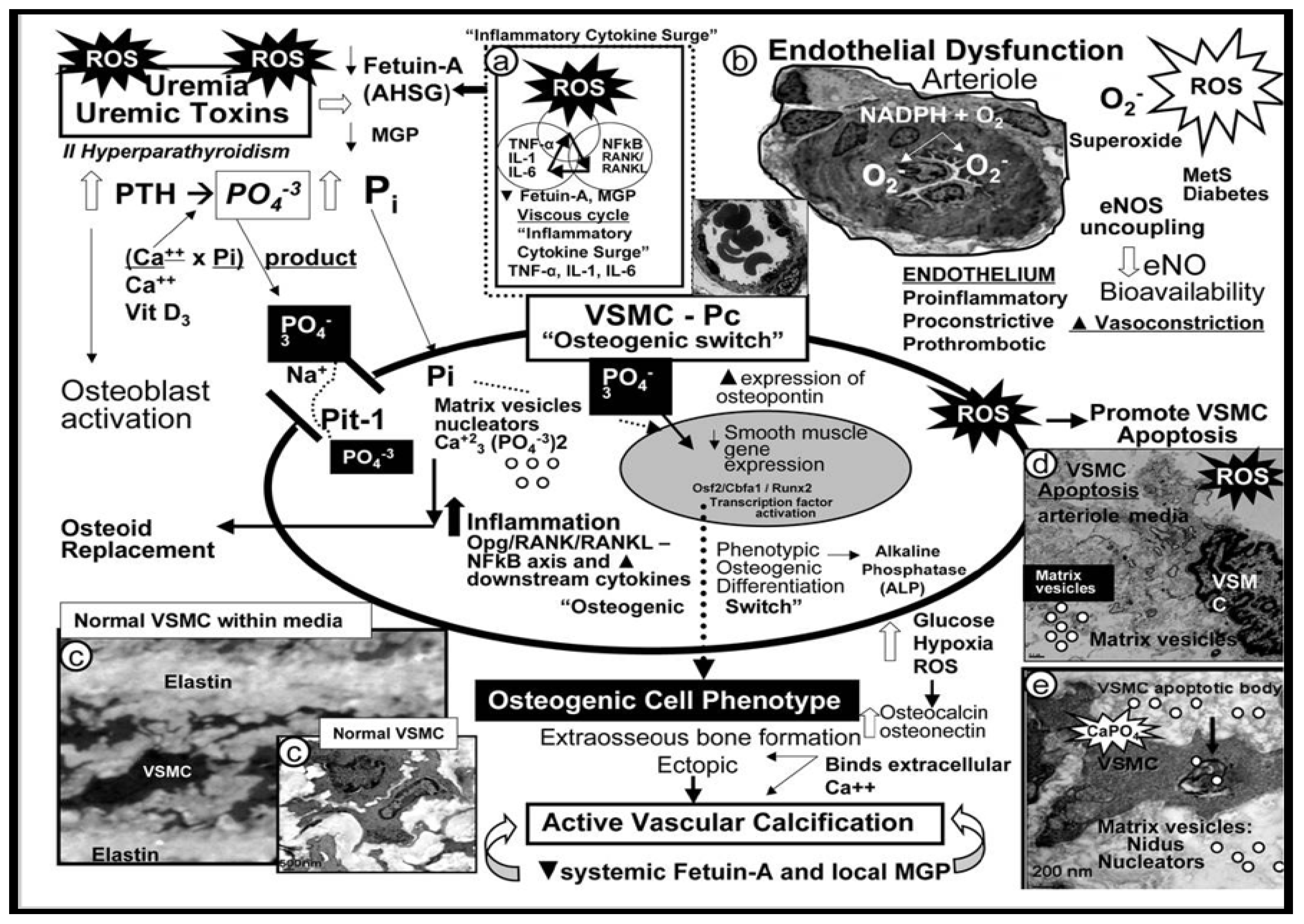 Preprints 156288 g016