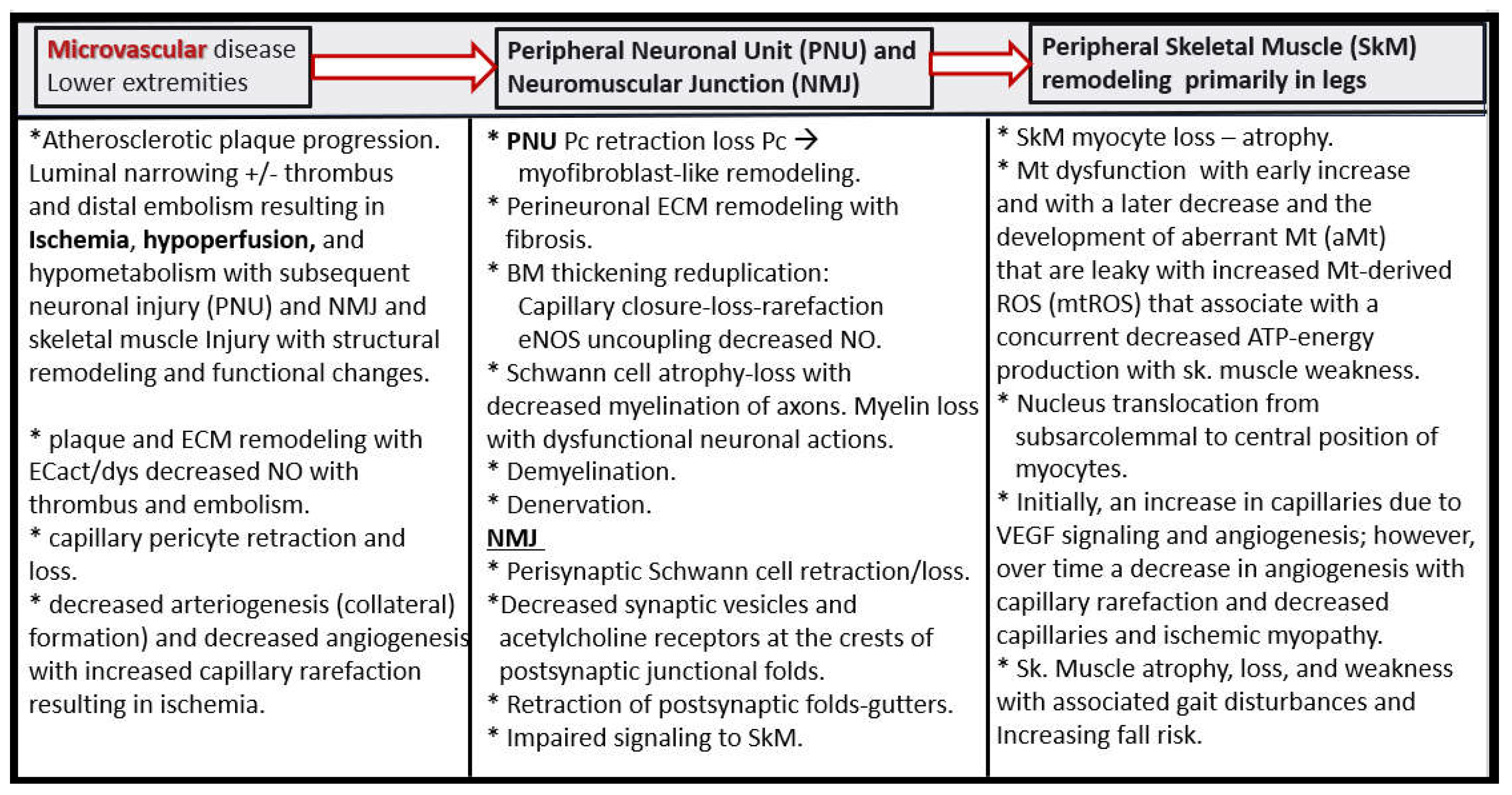 Preprints 156288 g018