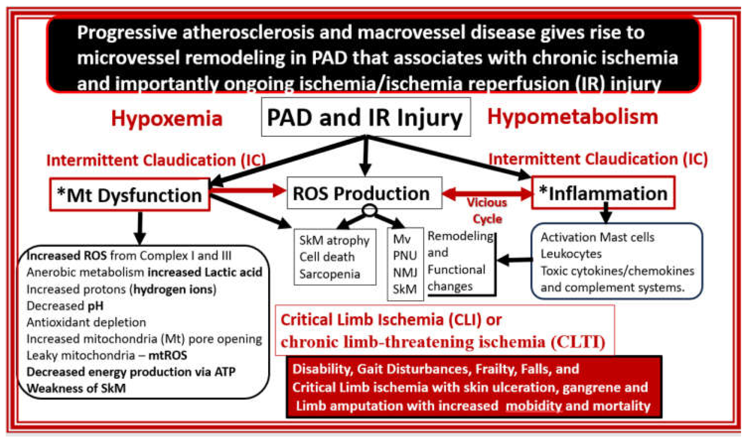 Preprints 156288 g020