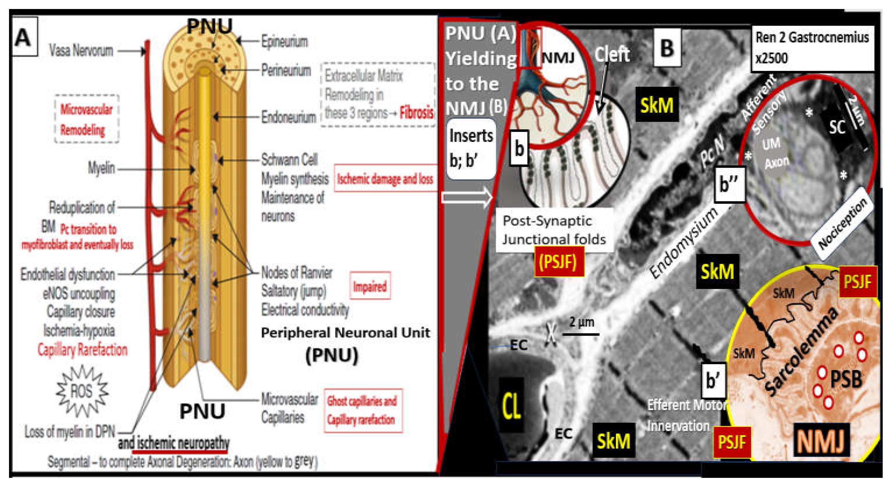 Preprints 156288 g021