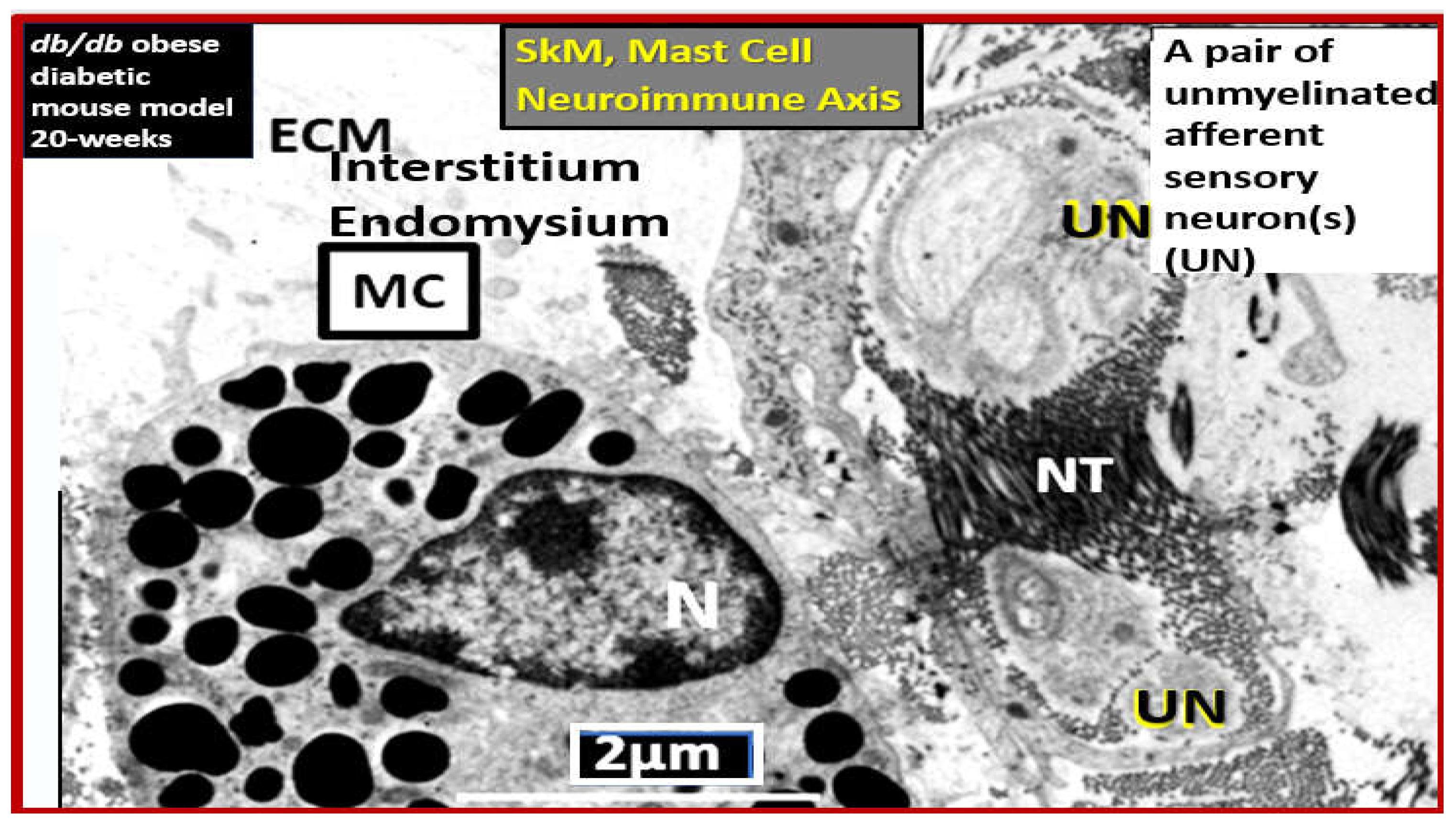 Preprints 156288 g022