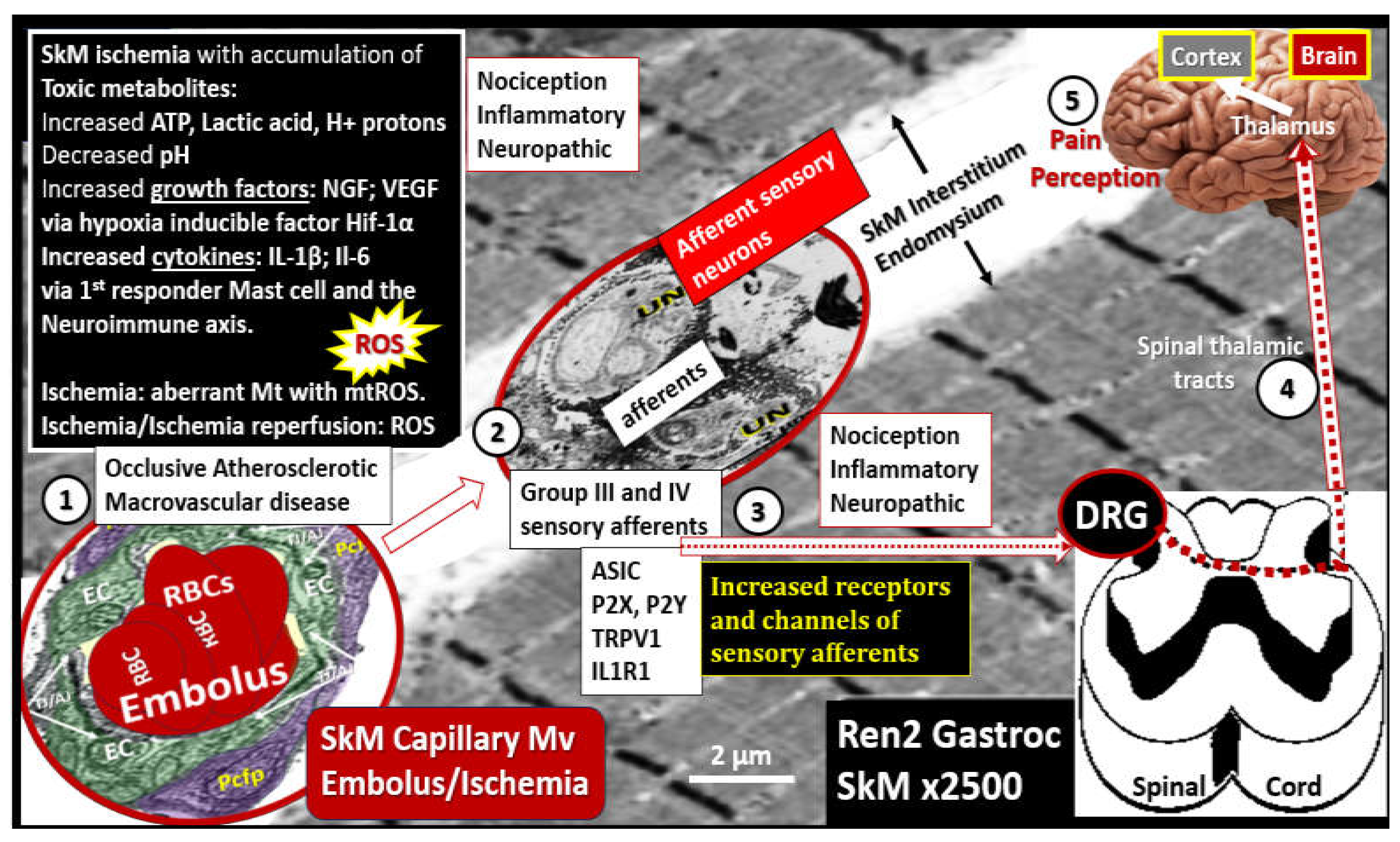 Preprints 156288 g023