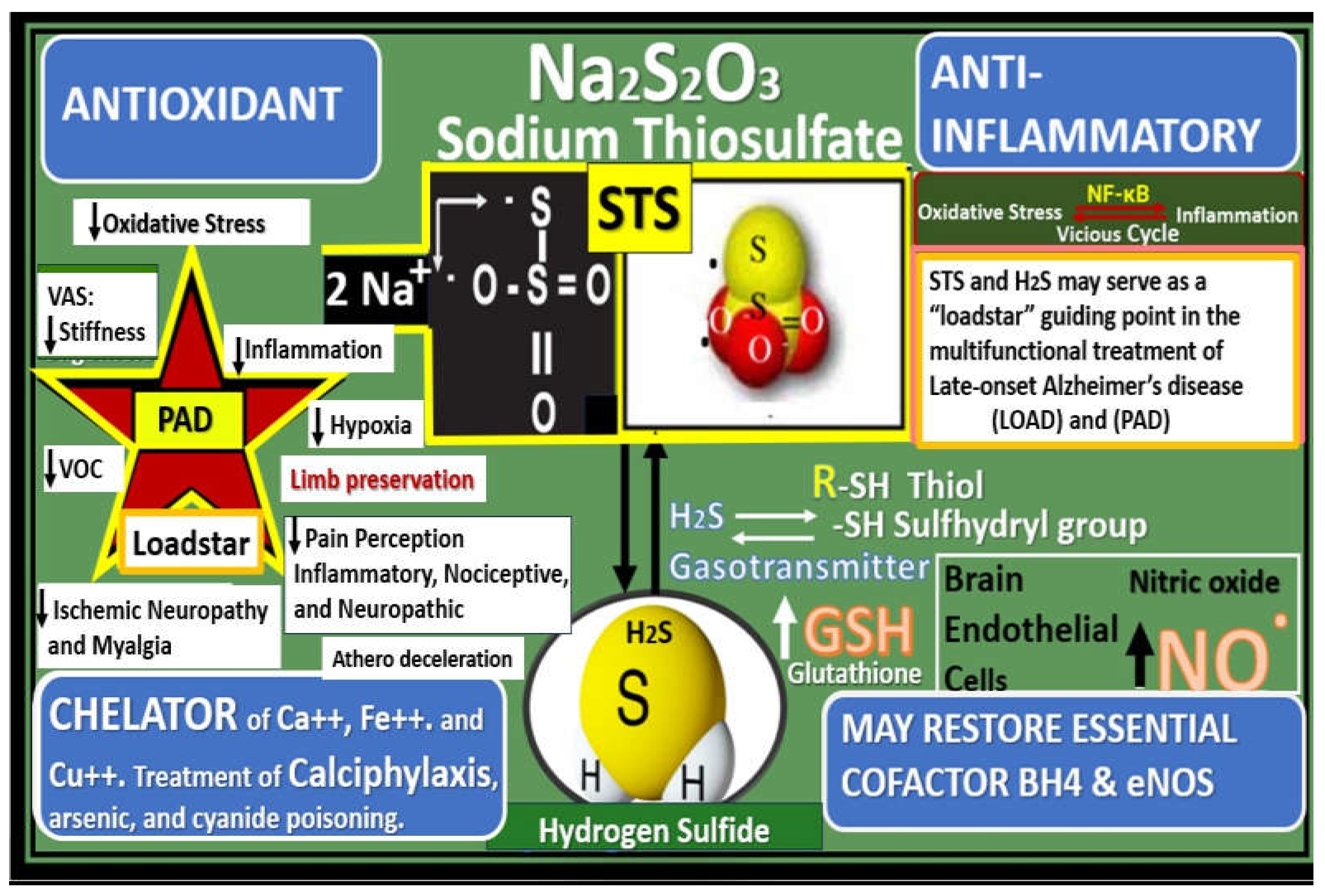 Preprints 156288 g025