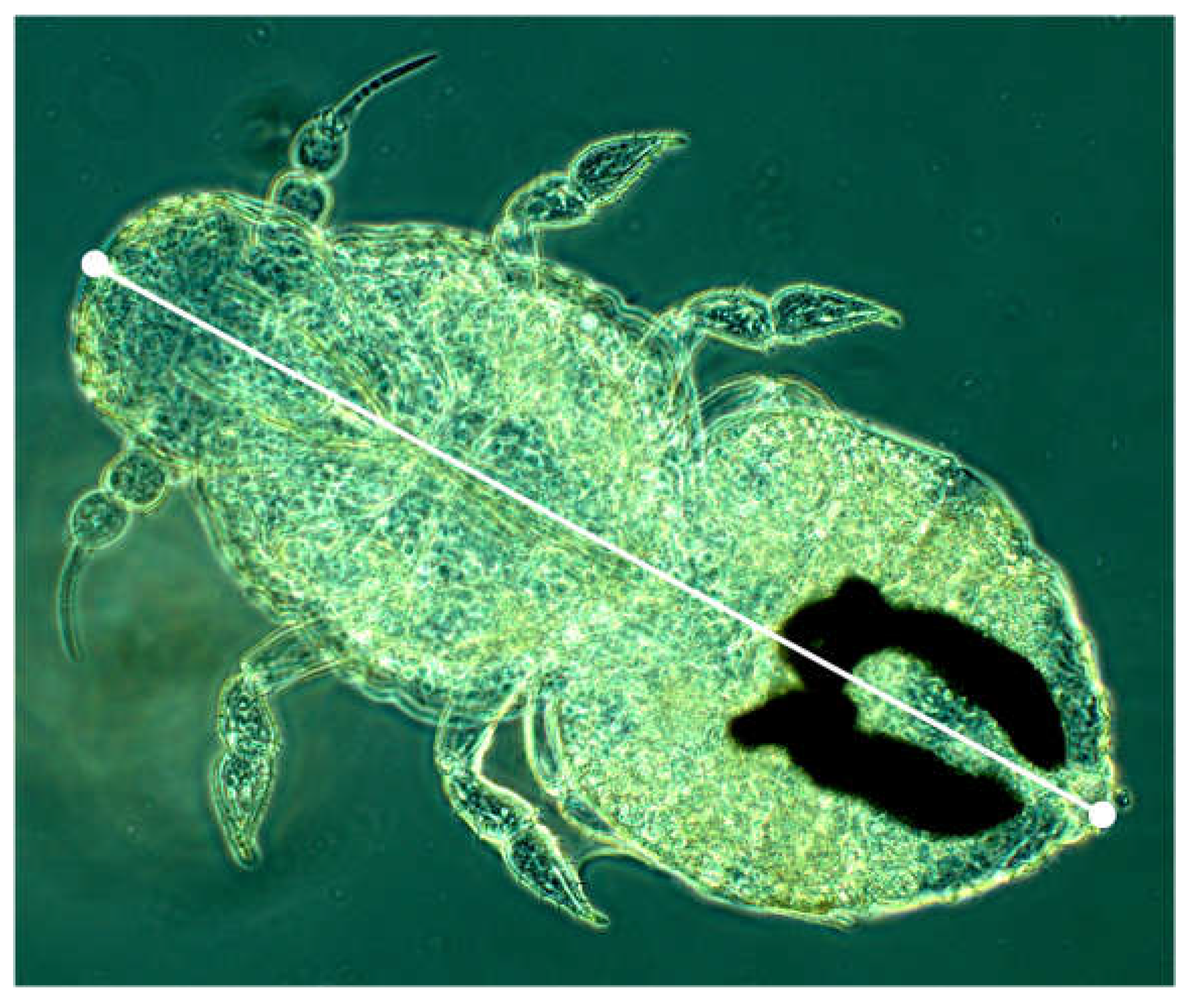 Preprints 148894 g001