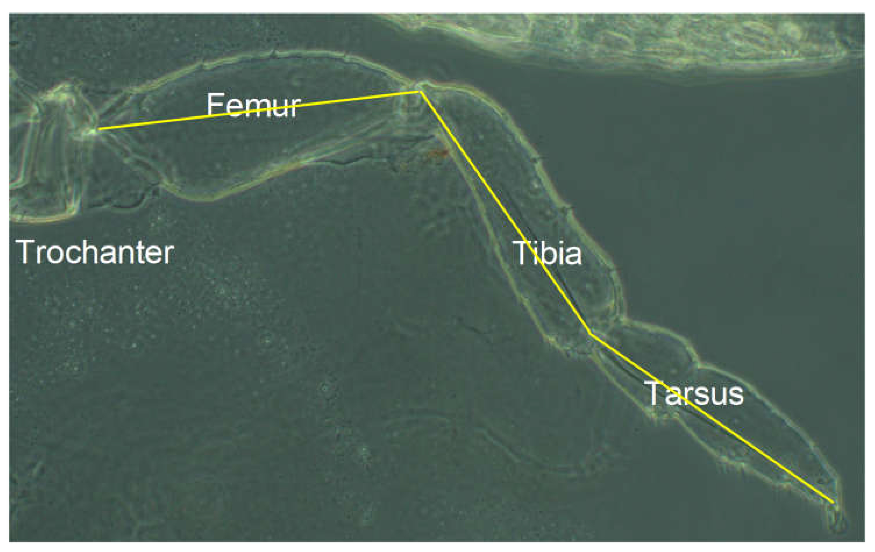 Preprints 148894 g010