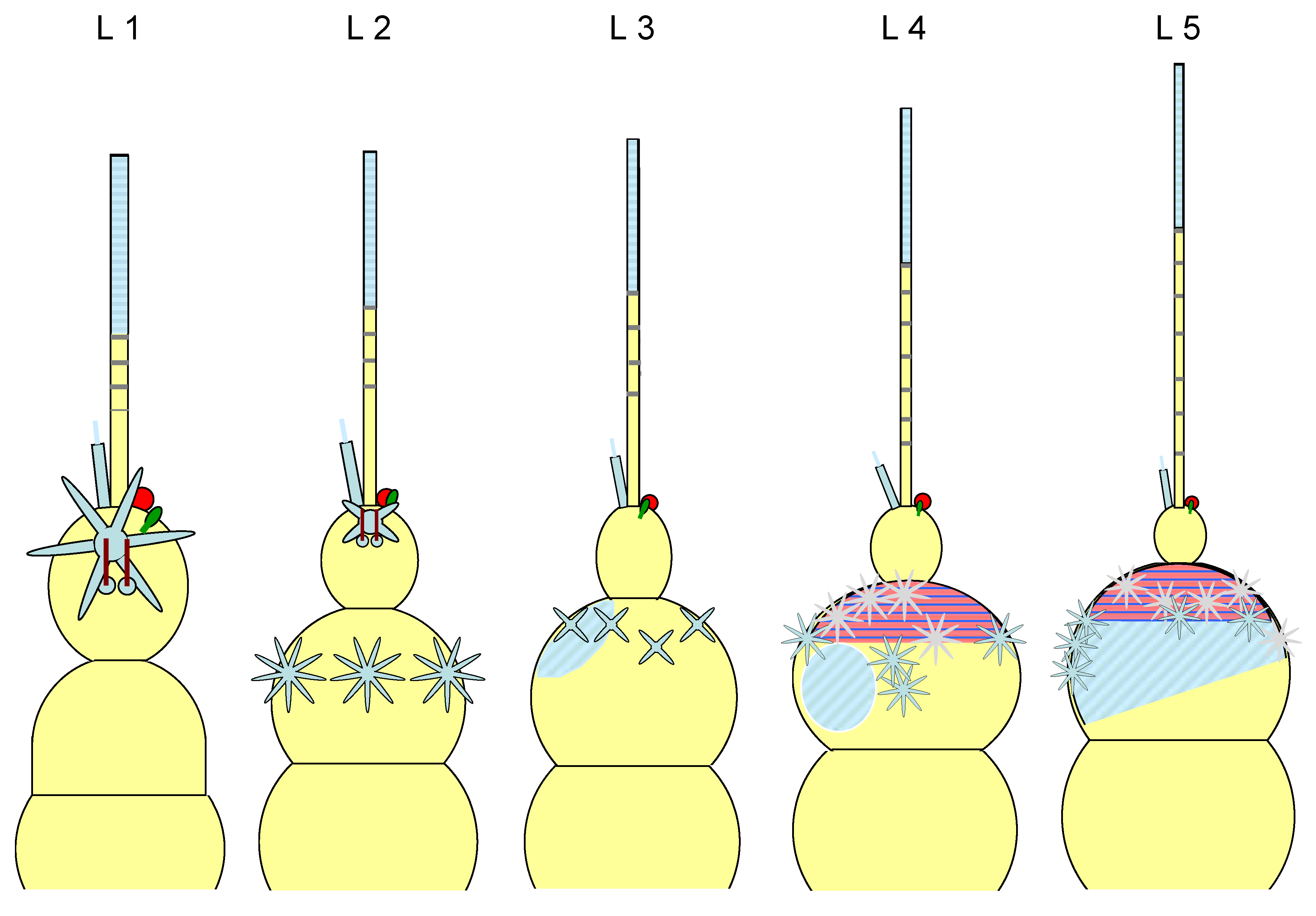 Preprints 148894 g017