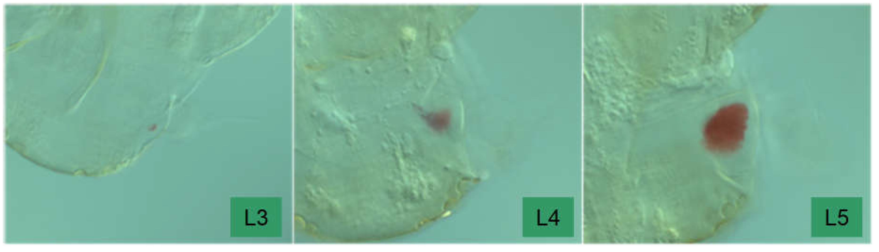 Preprints 148894 g018