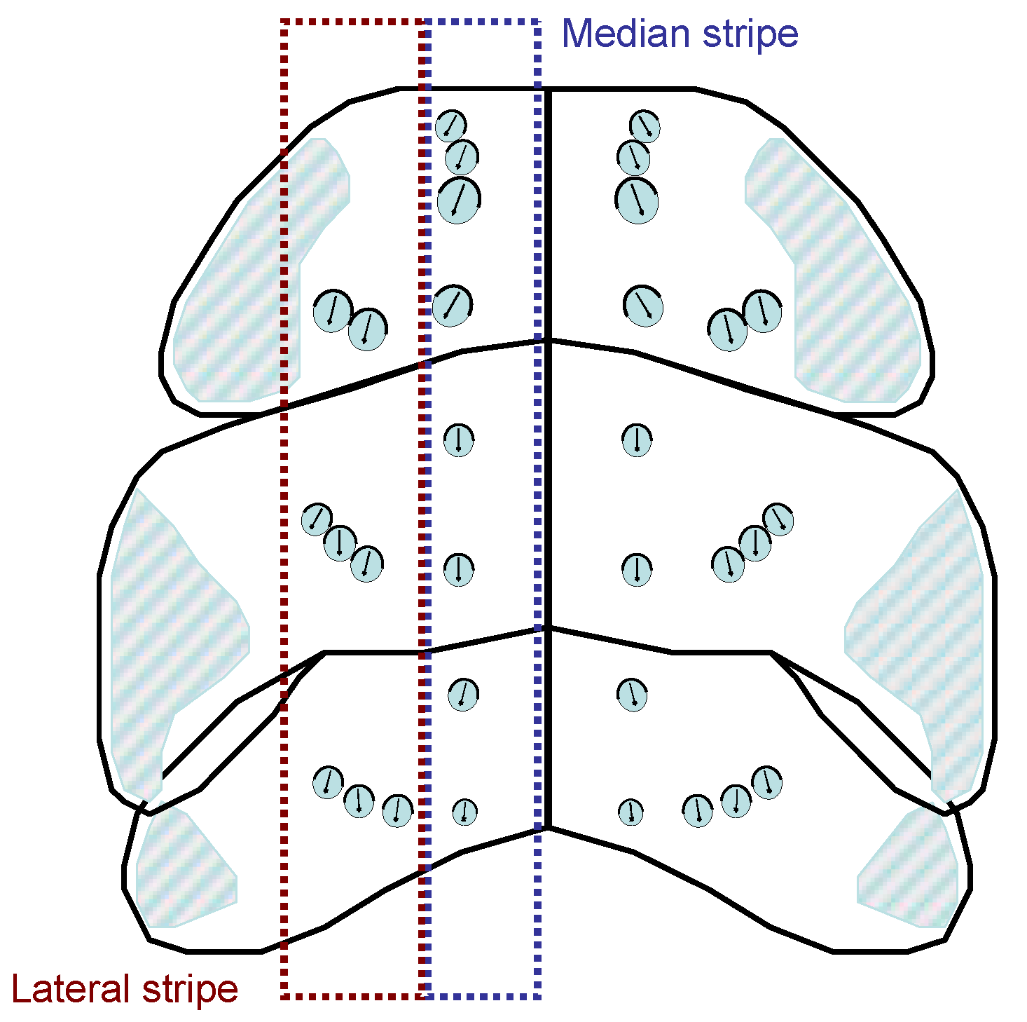 Preprints 148894 g019