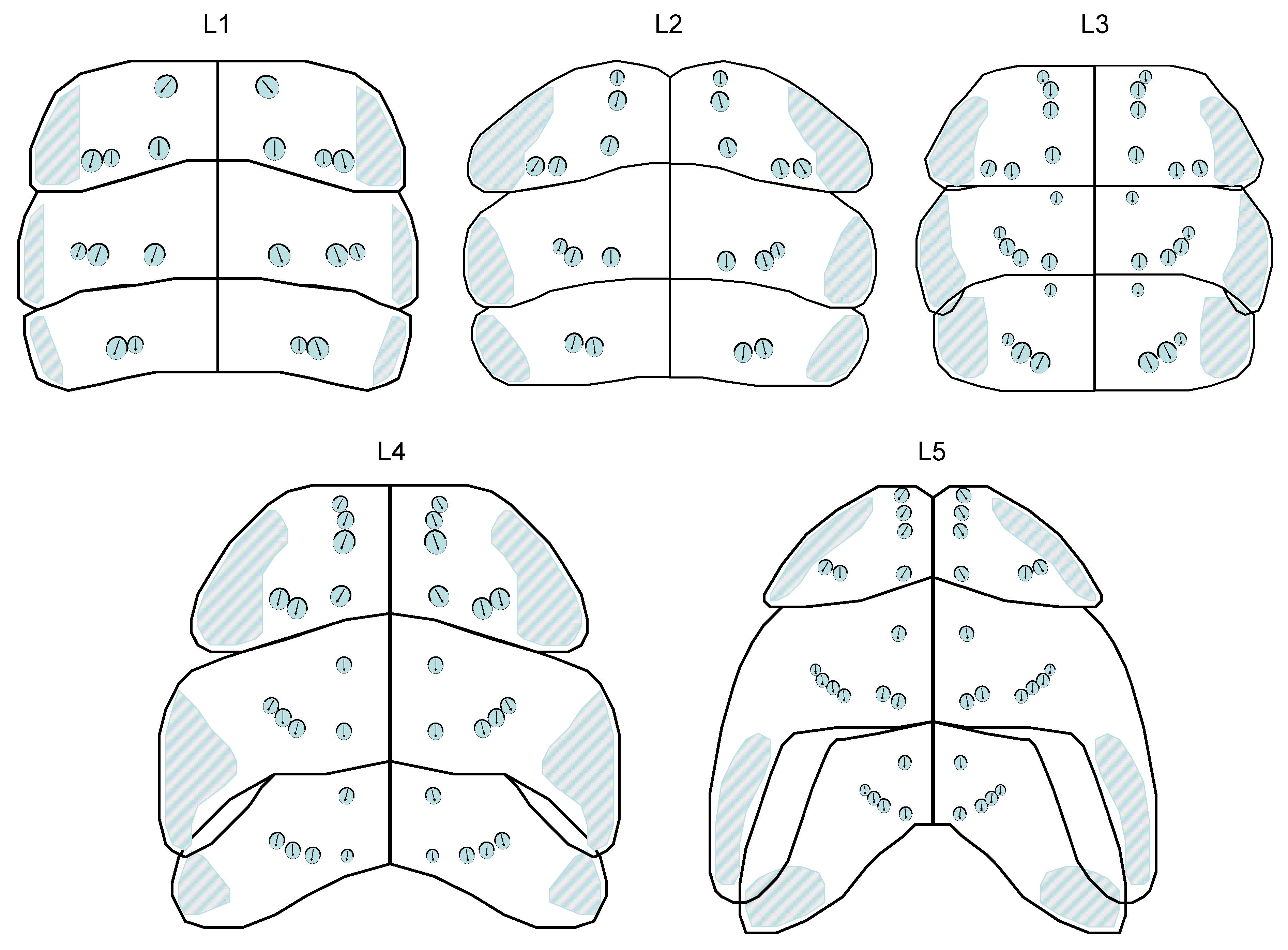 Preprints 148894 g020