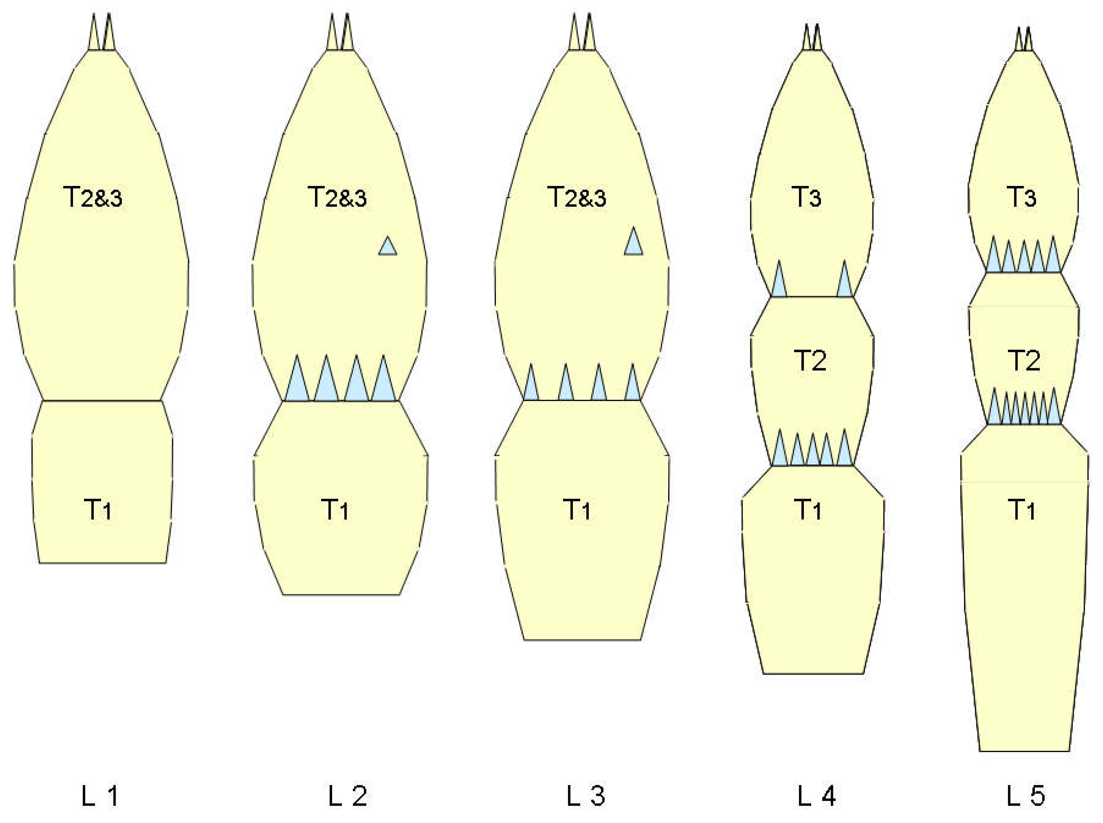 Preprints 148894 g024