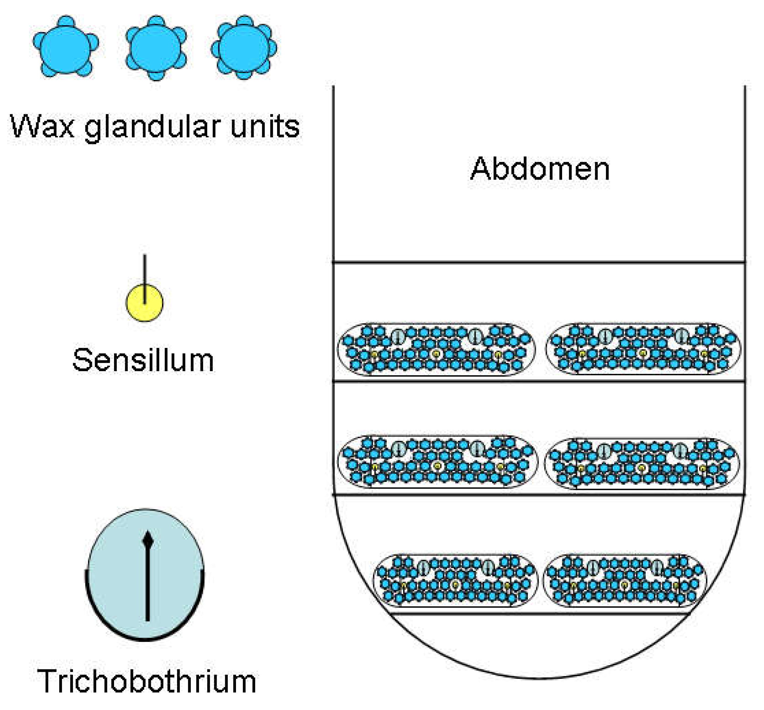 Preprints 148894 g025