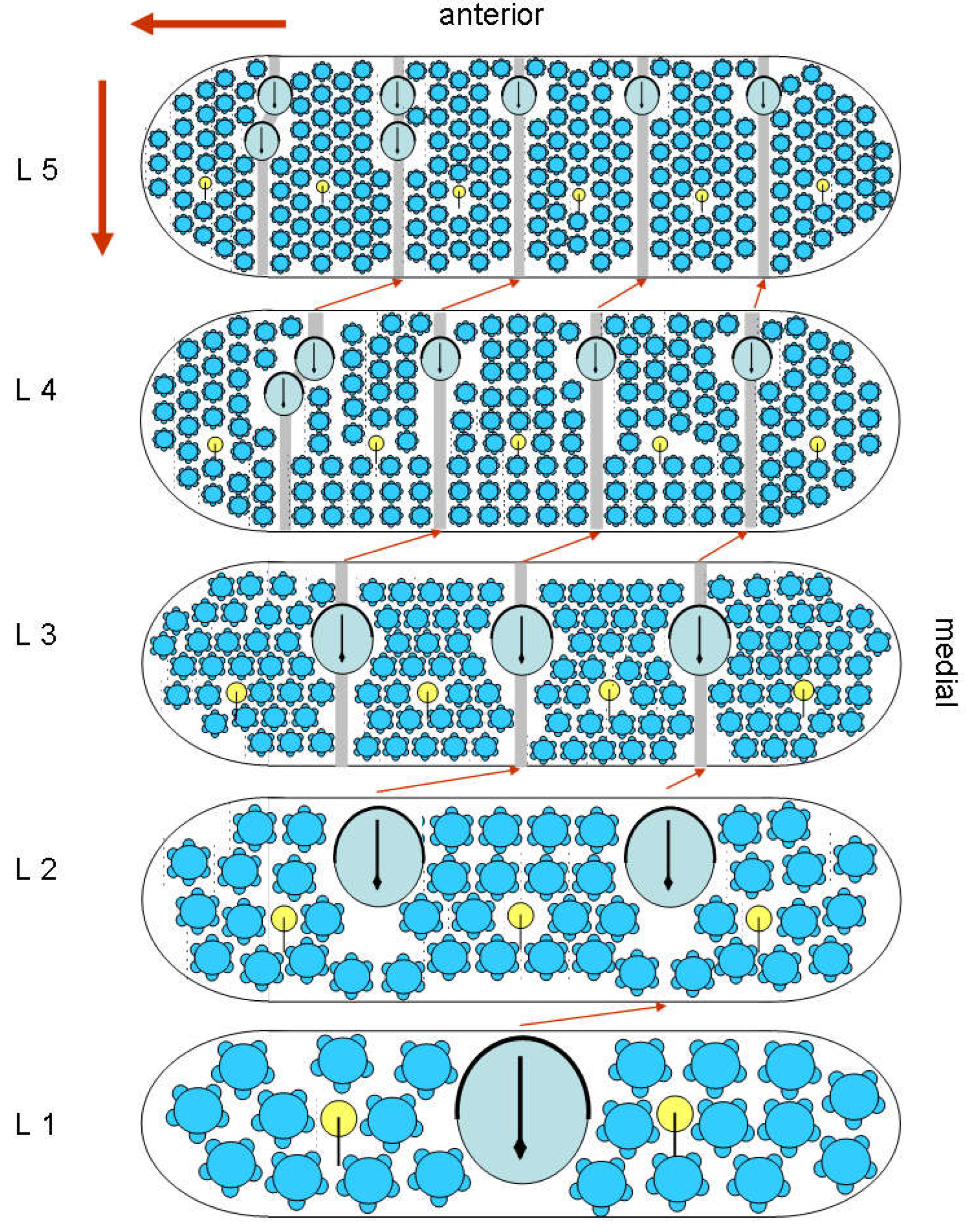 Preprints 148894 g027