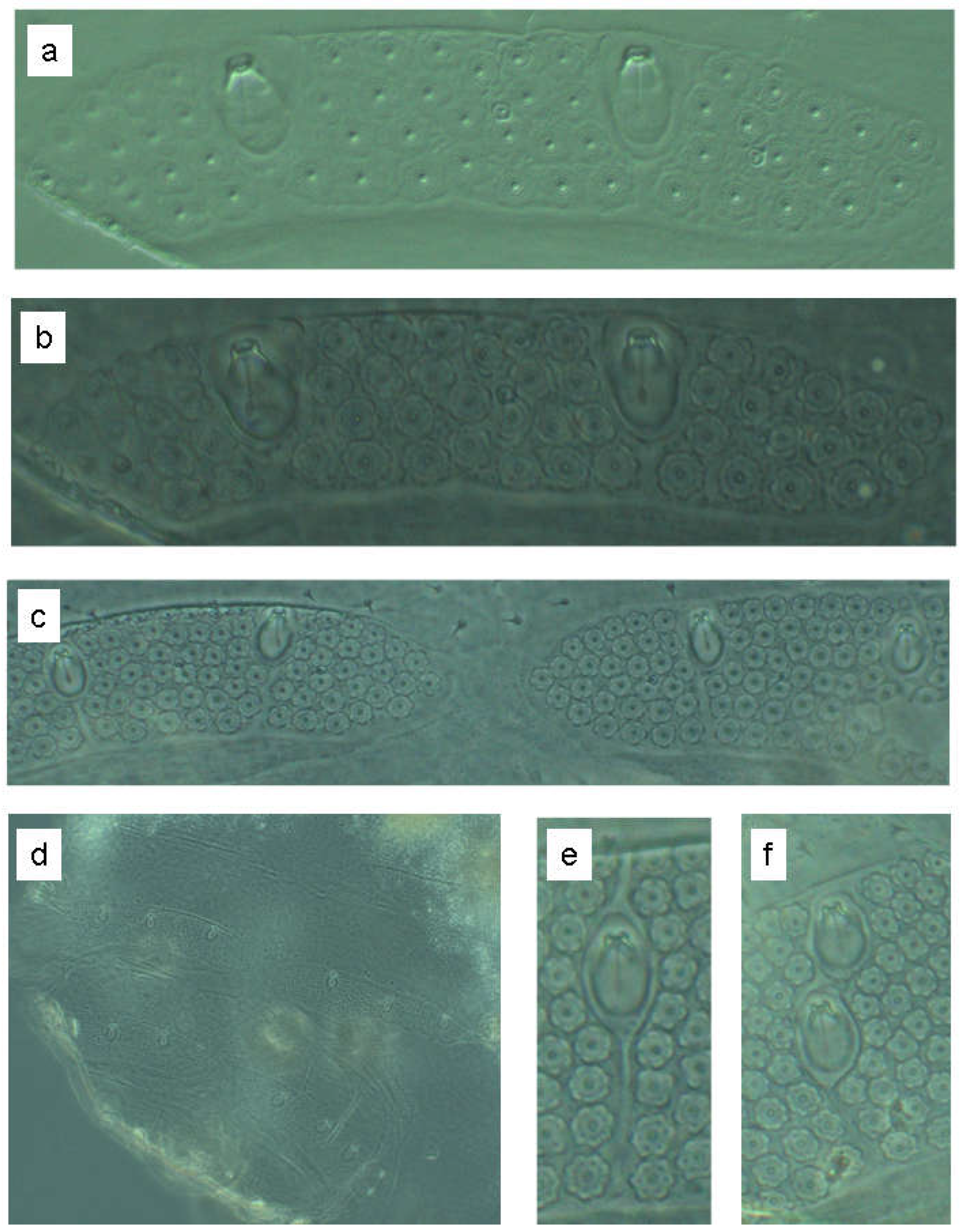 Preprints 148894 g028