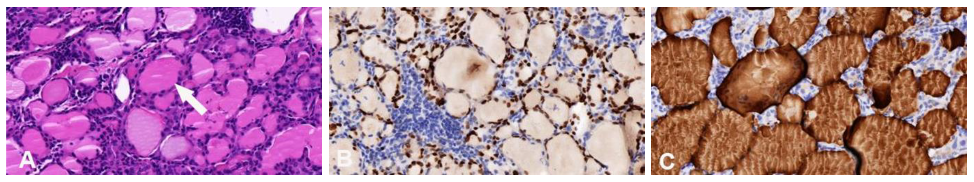 Preprints 142996 g004