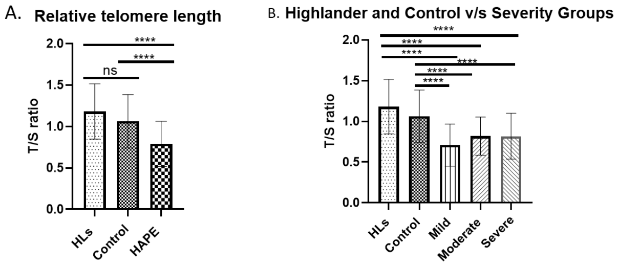 Preprints 229488 g001a