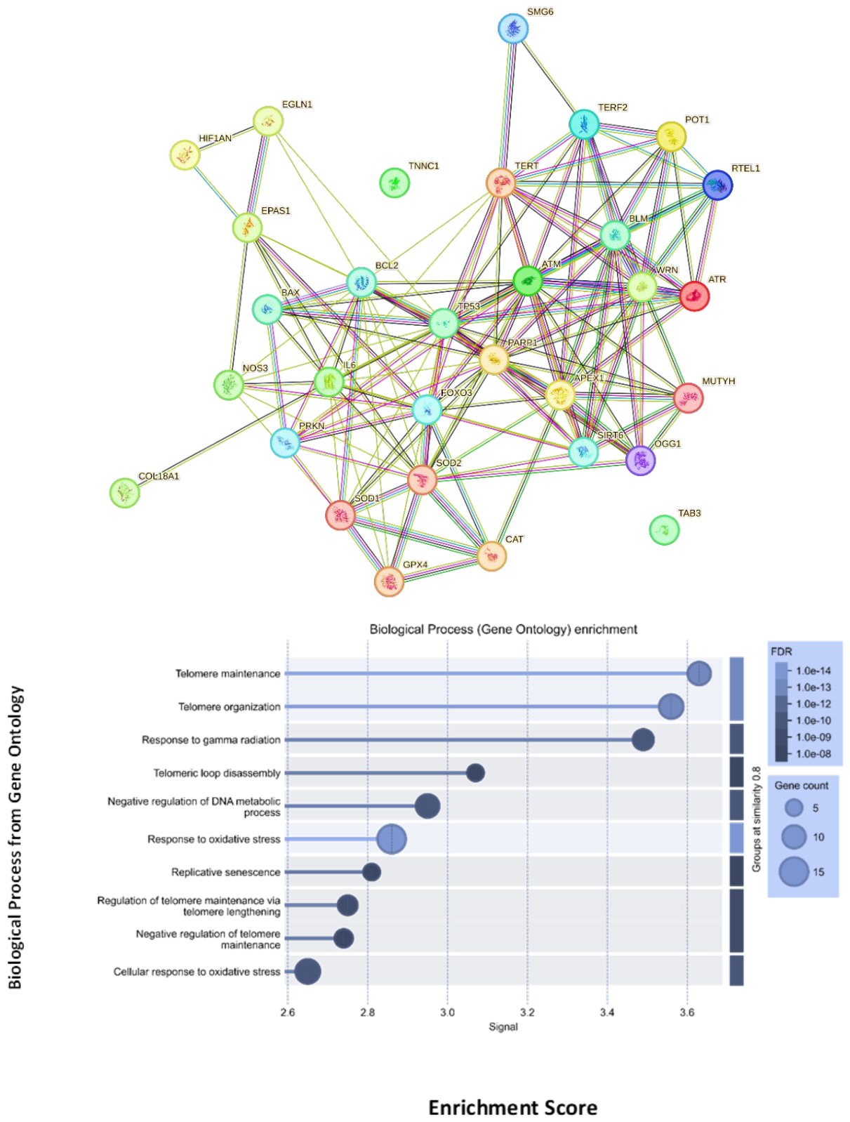 Preprints 229488 g007