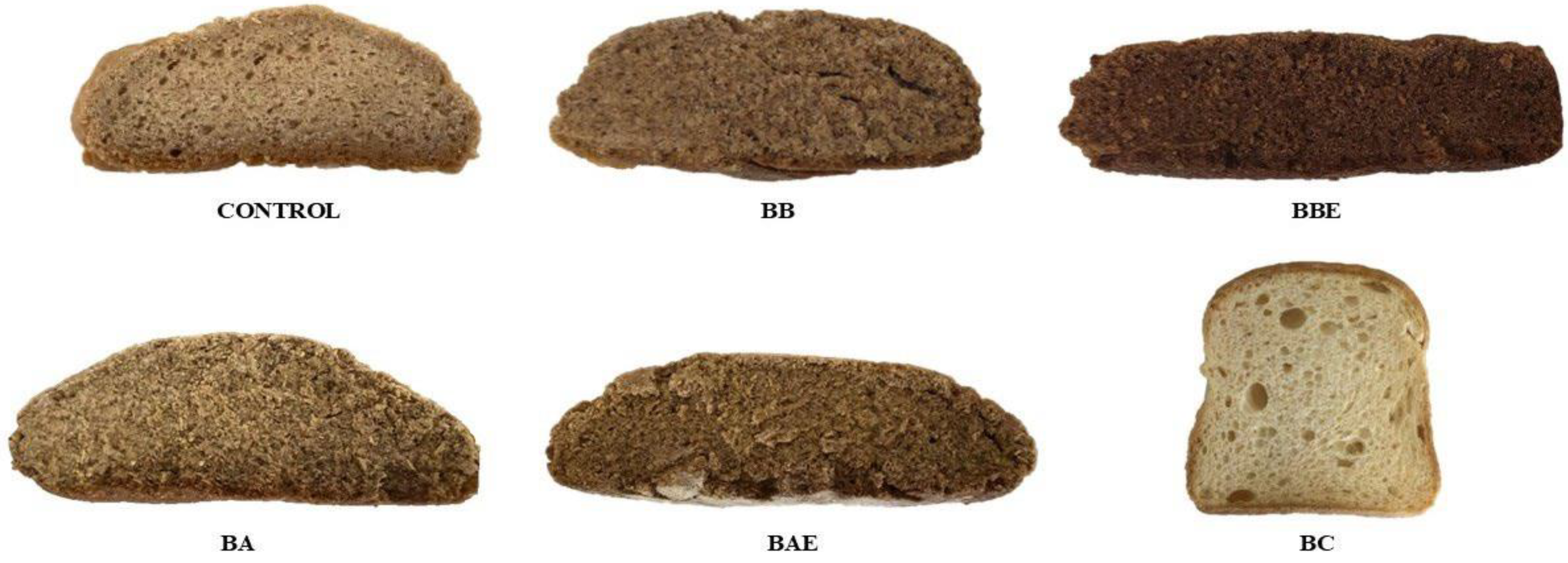 Preprints 188534 g001