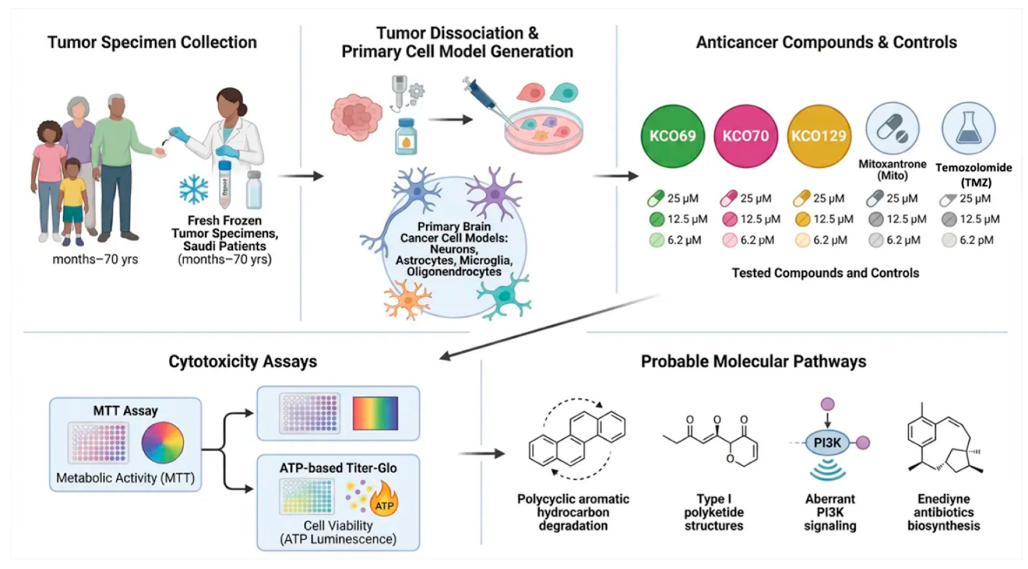 Preprints 210812 g002
