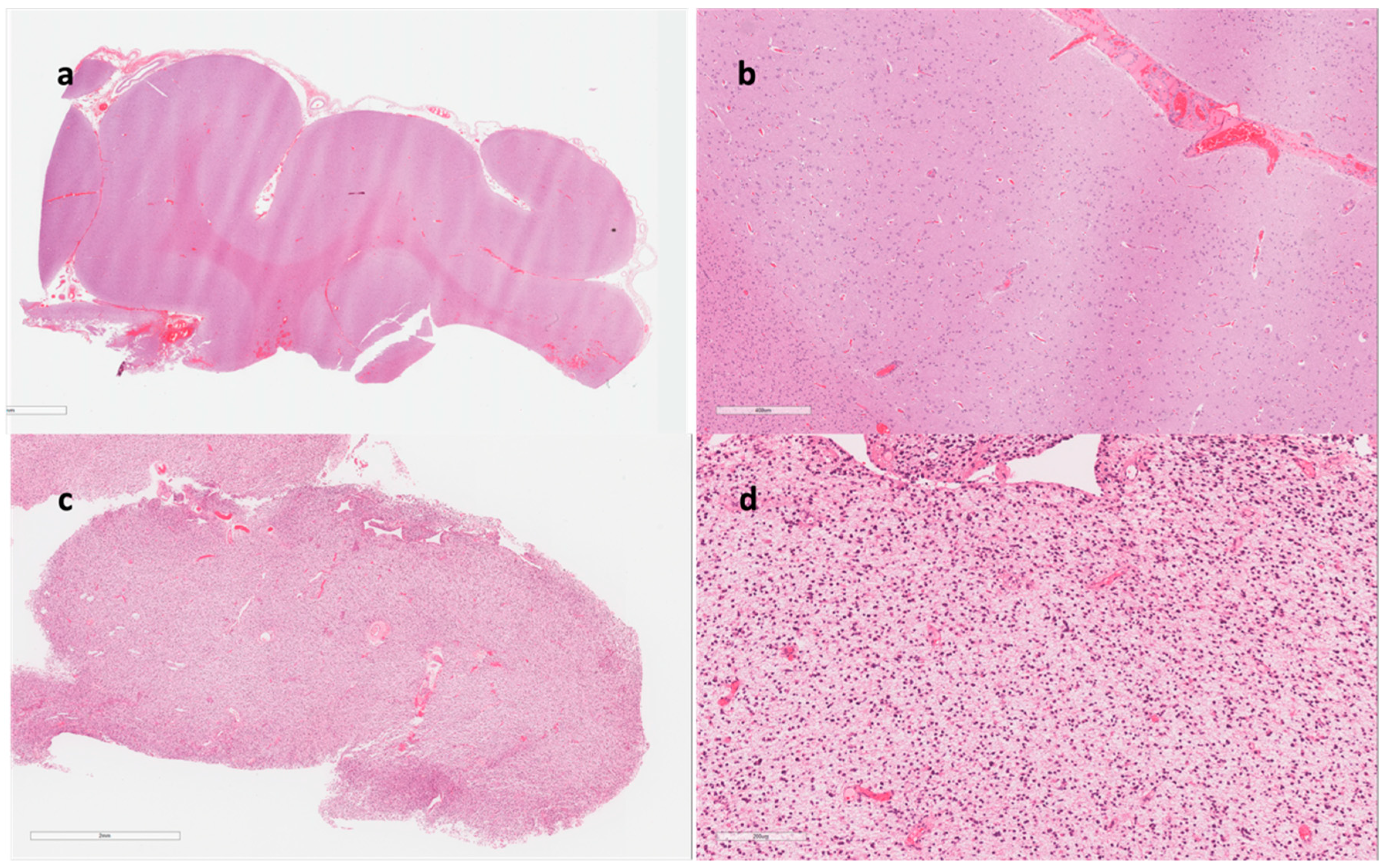 Preprints 210812 g003