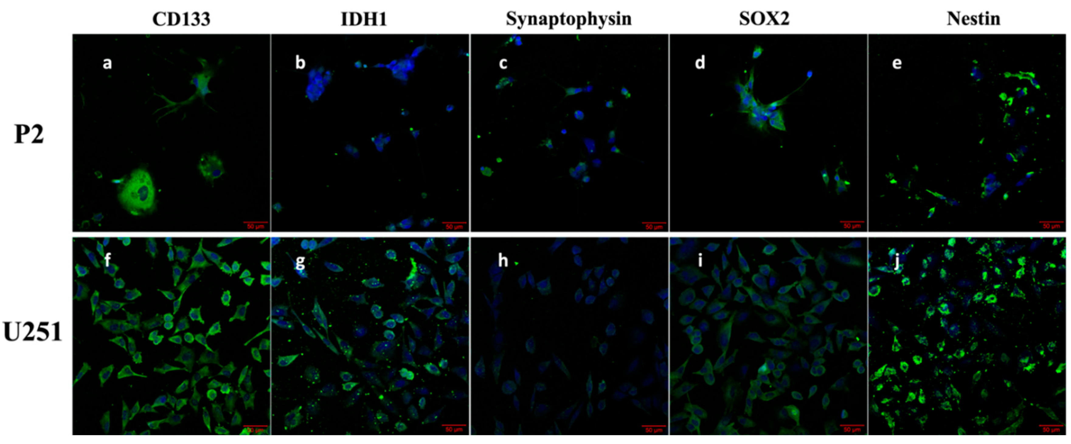 Preprints 210812 g009