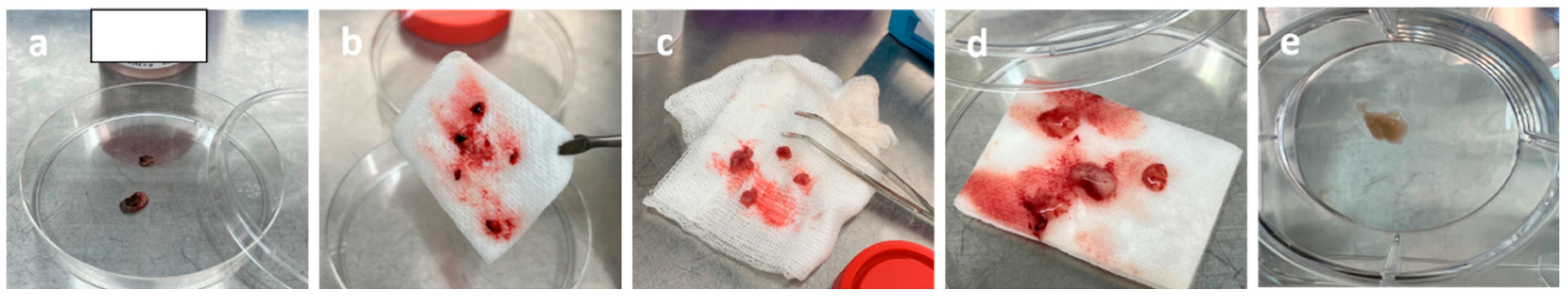 Preprints 210812 g010