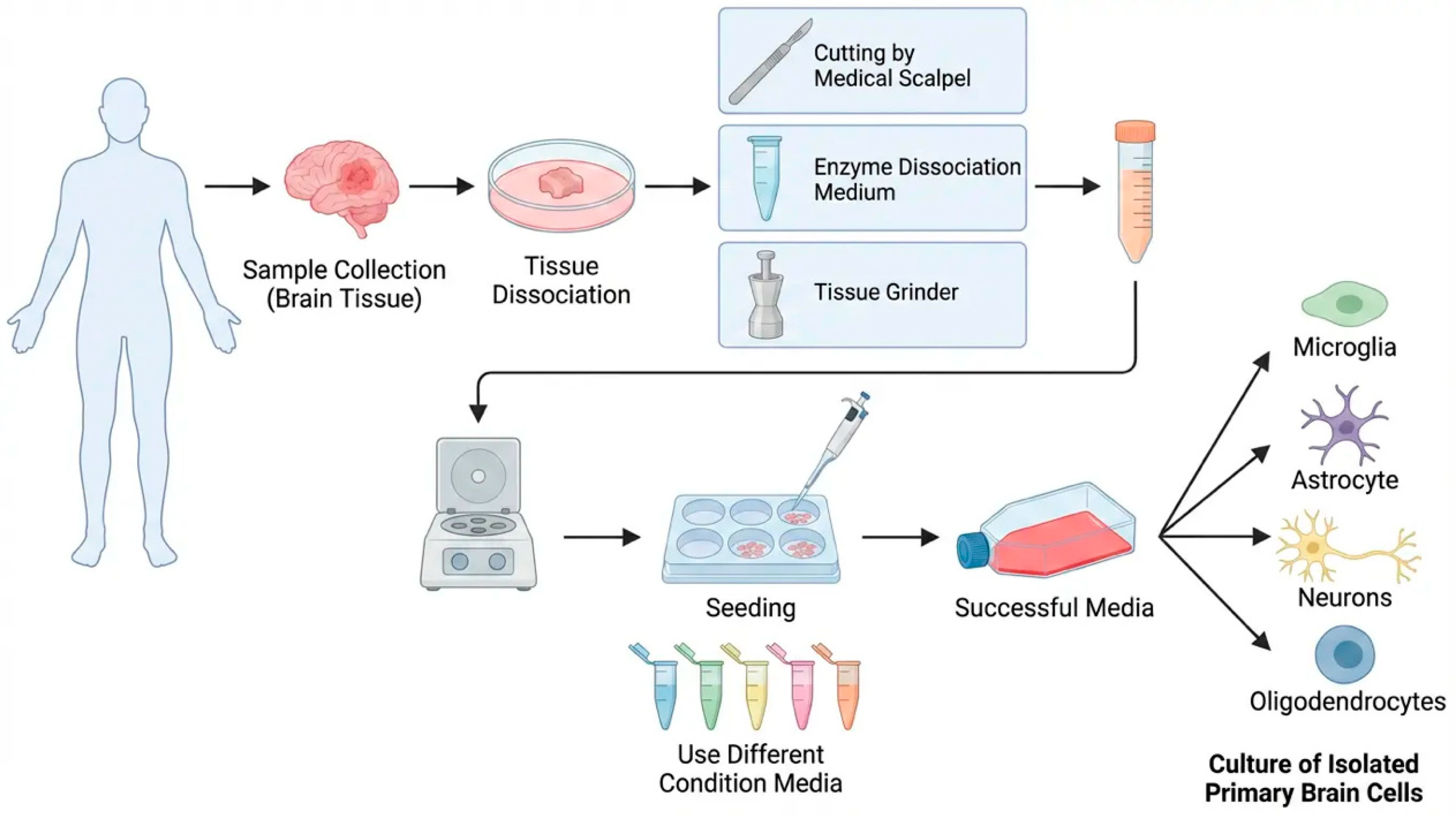 Preprints 210812 g013