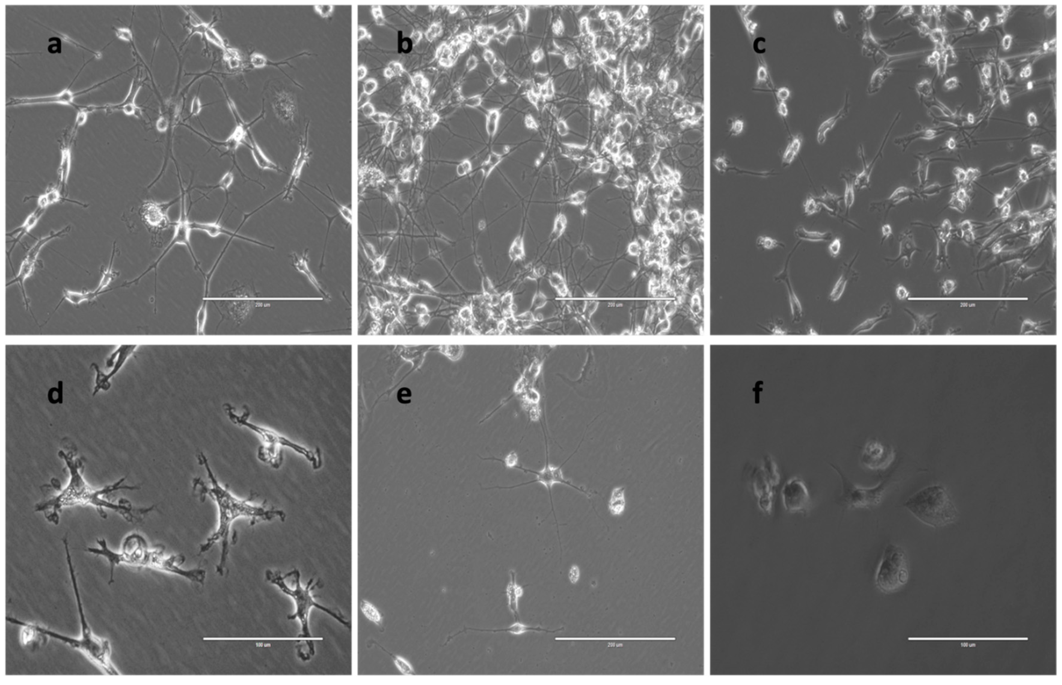 Preprints 210812 g014