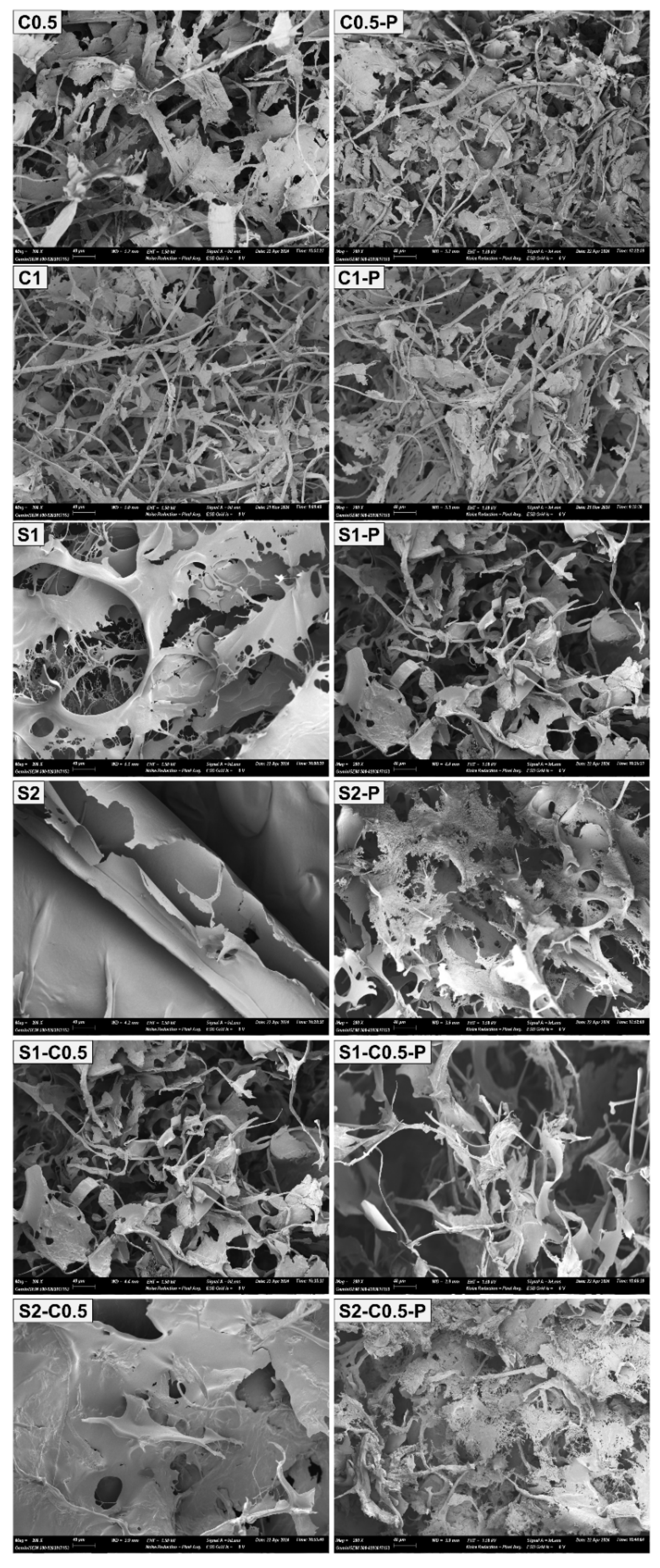 Preprints 149169 g002