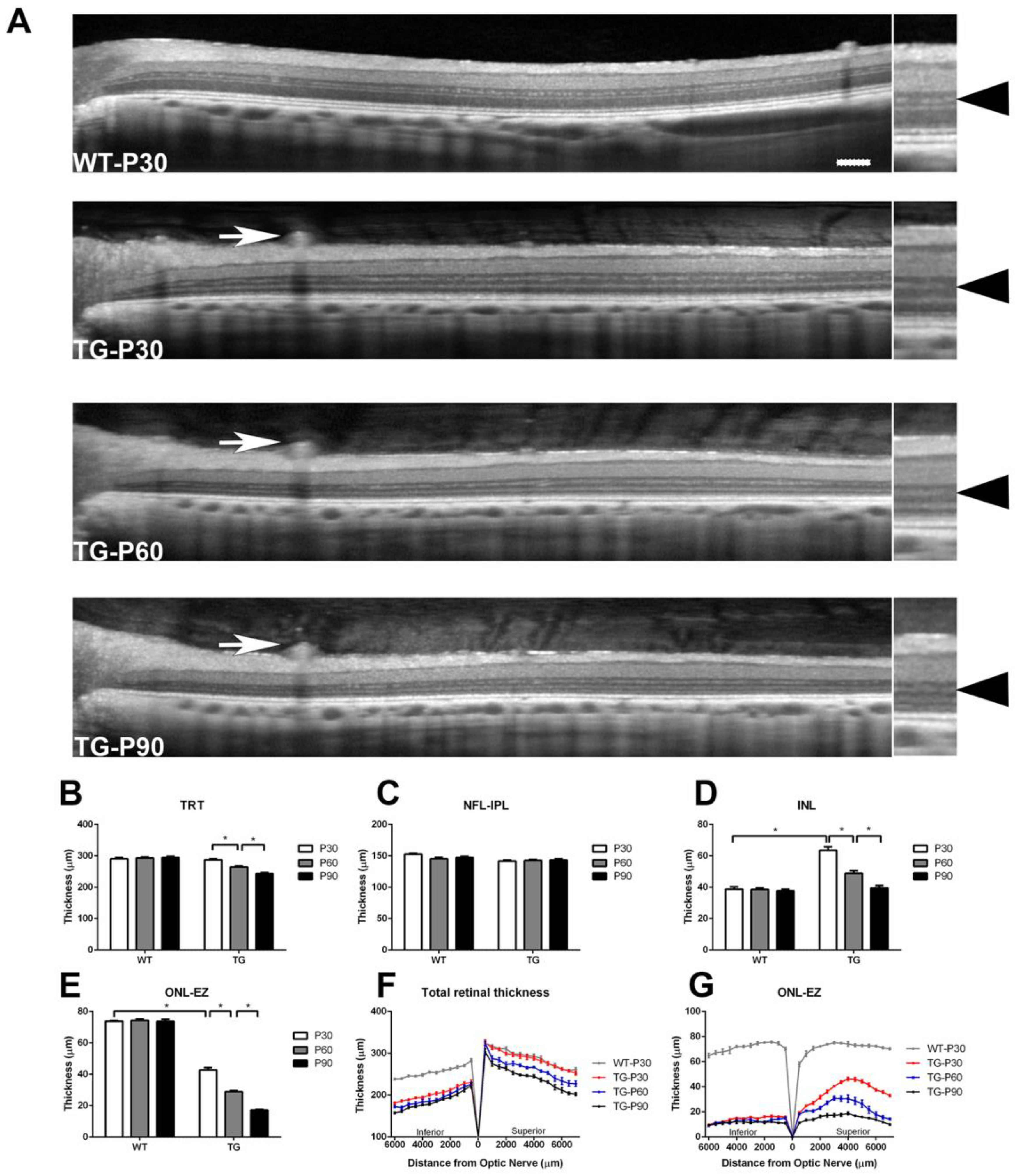Preprints 192445 g002