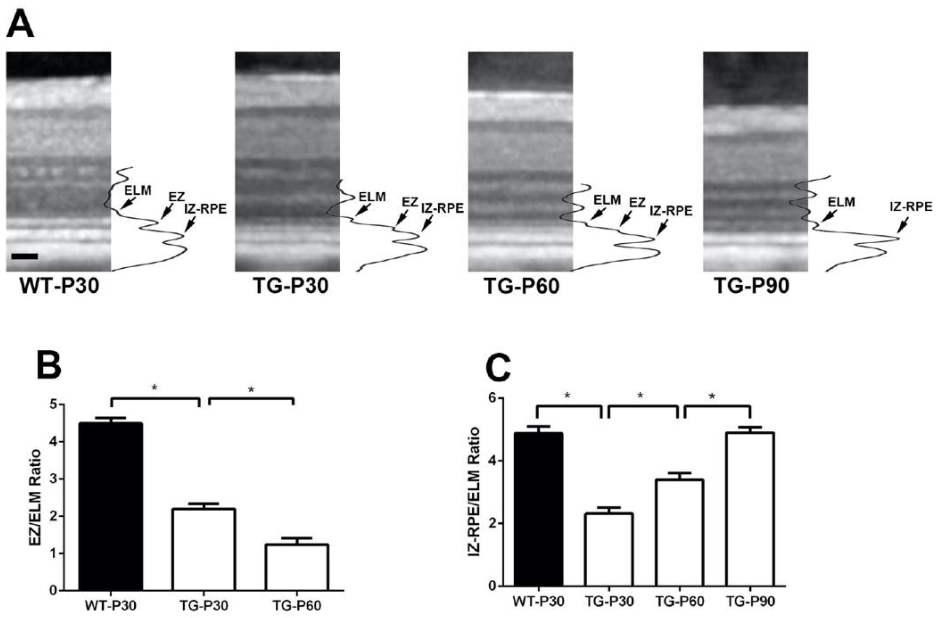 Preprints 192445 g003