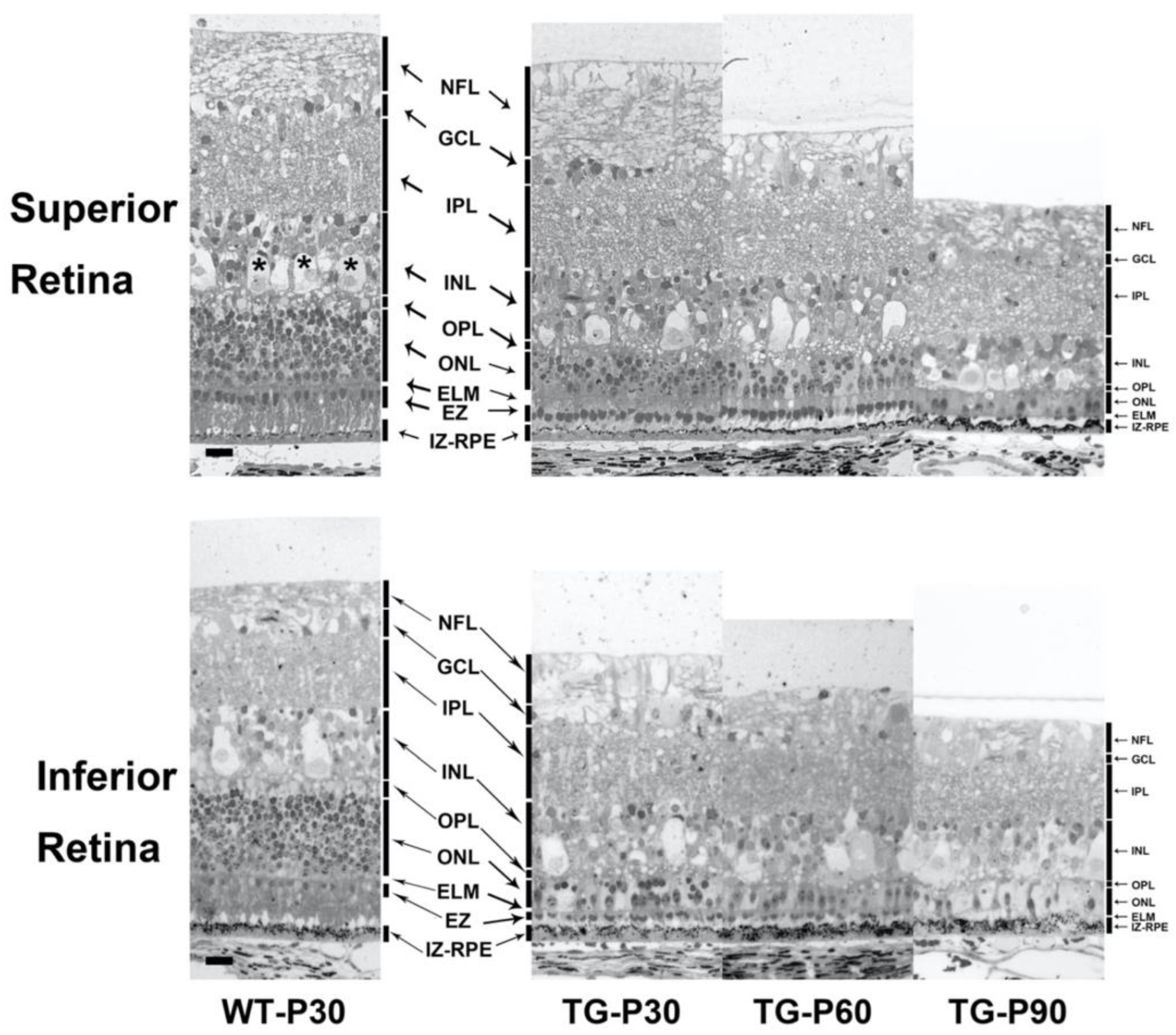 Preprints 192445 g004