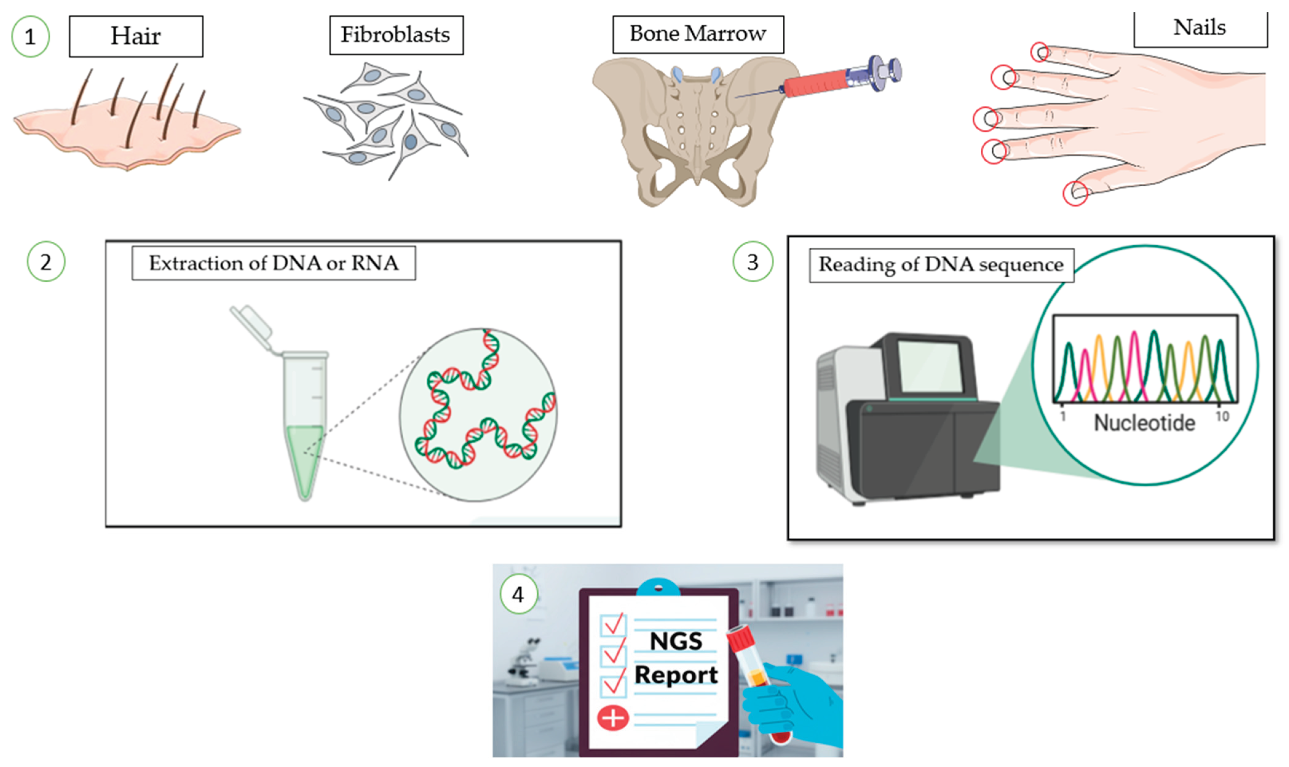Preprints 187709 g003