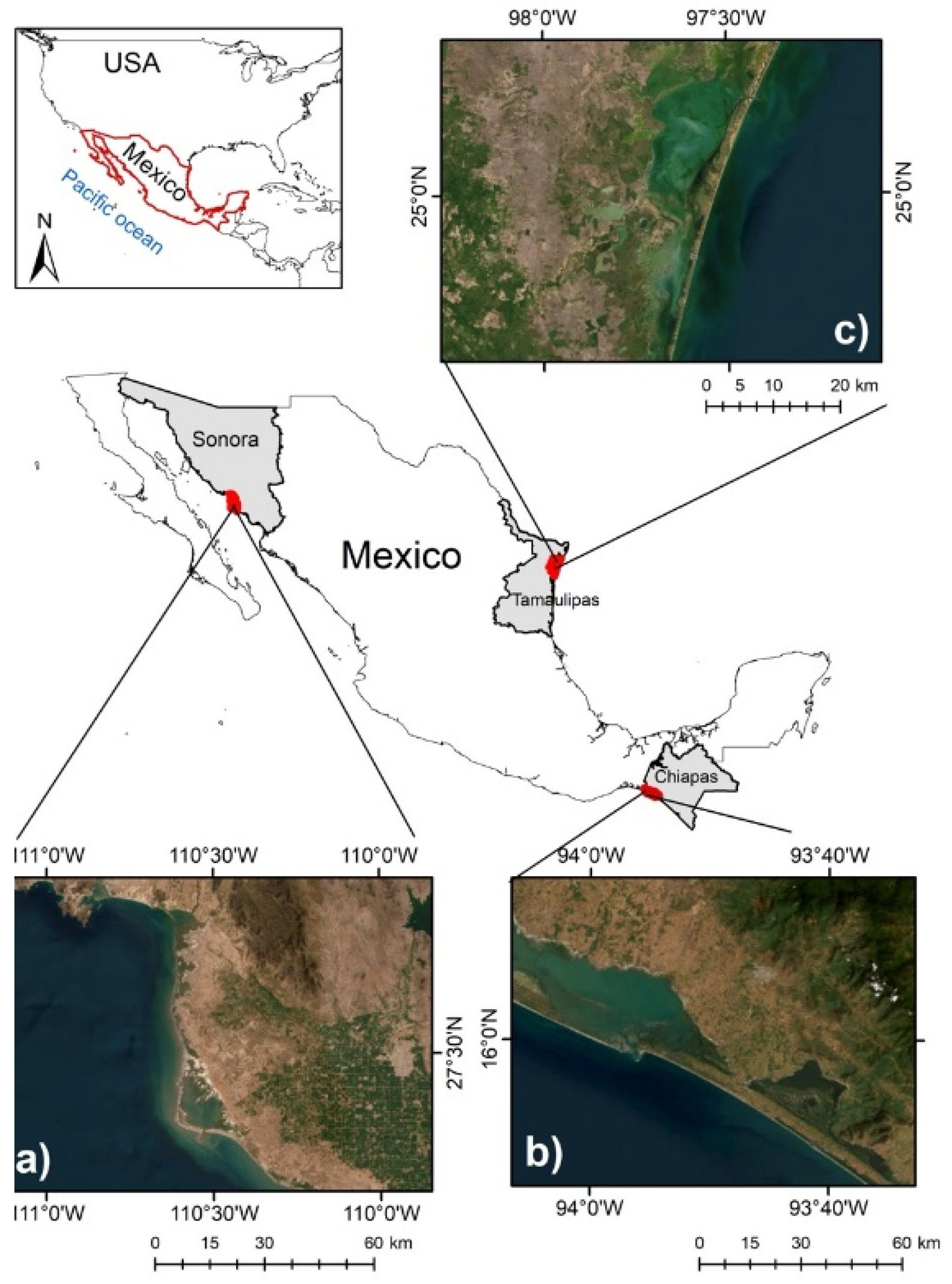 Preprints 151327 g001