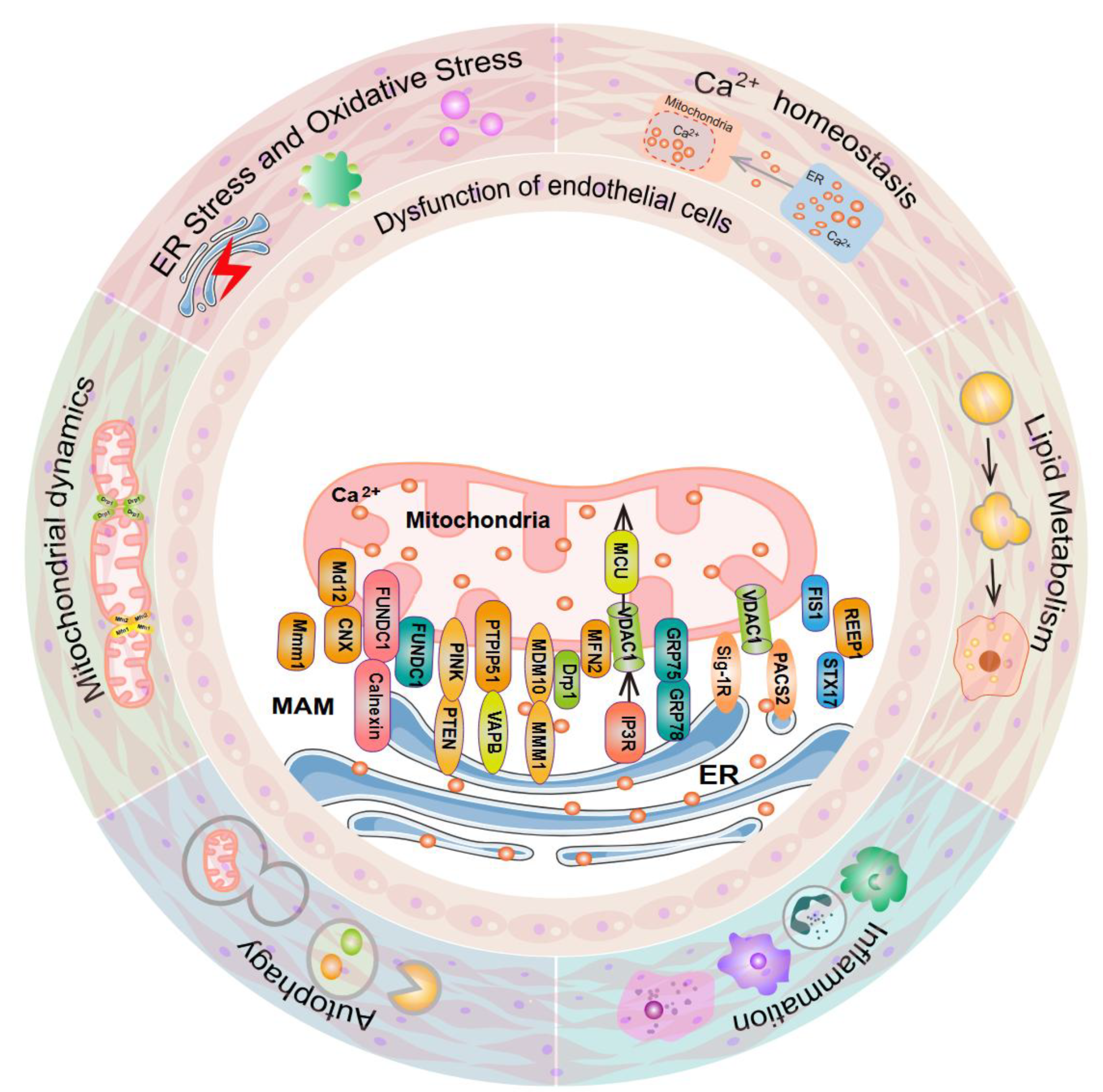 Preprints 198337 g001