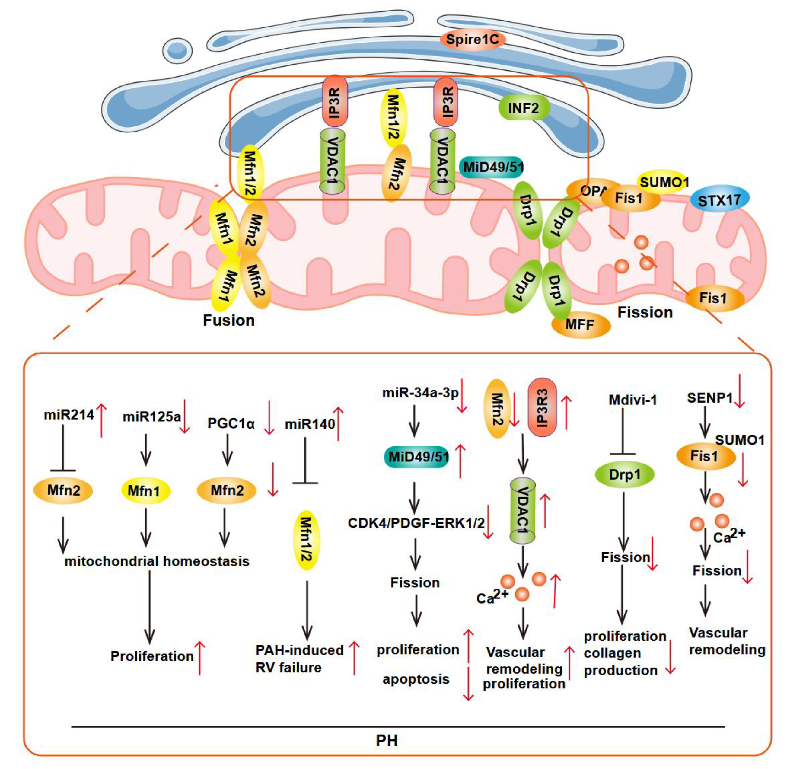 Preprints 198337 g002