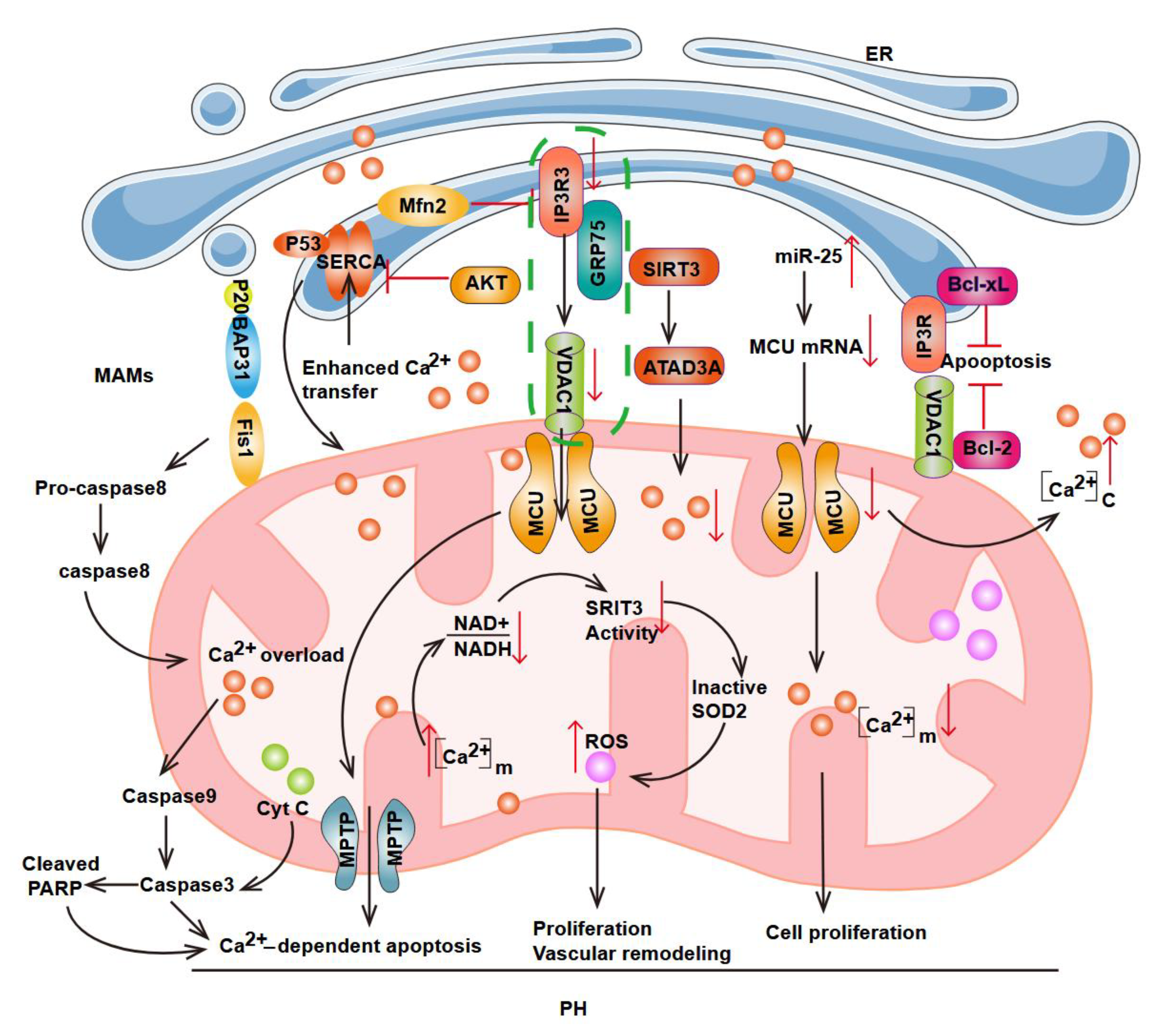 Preprints 198337 g003