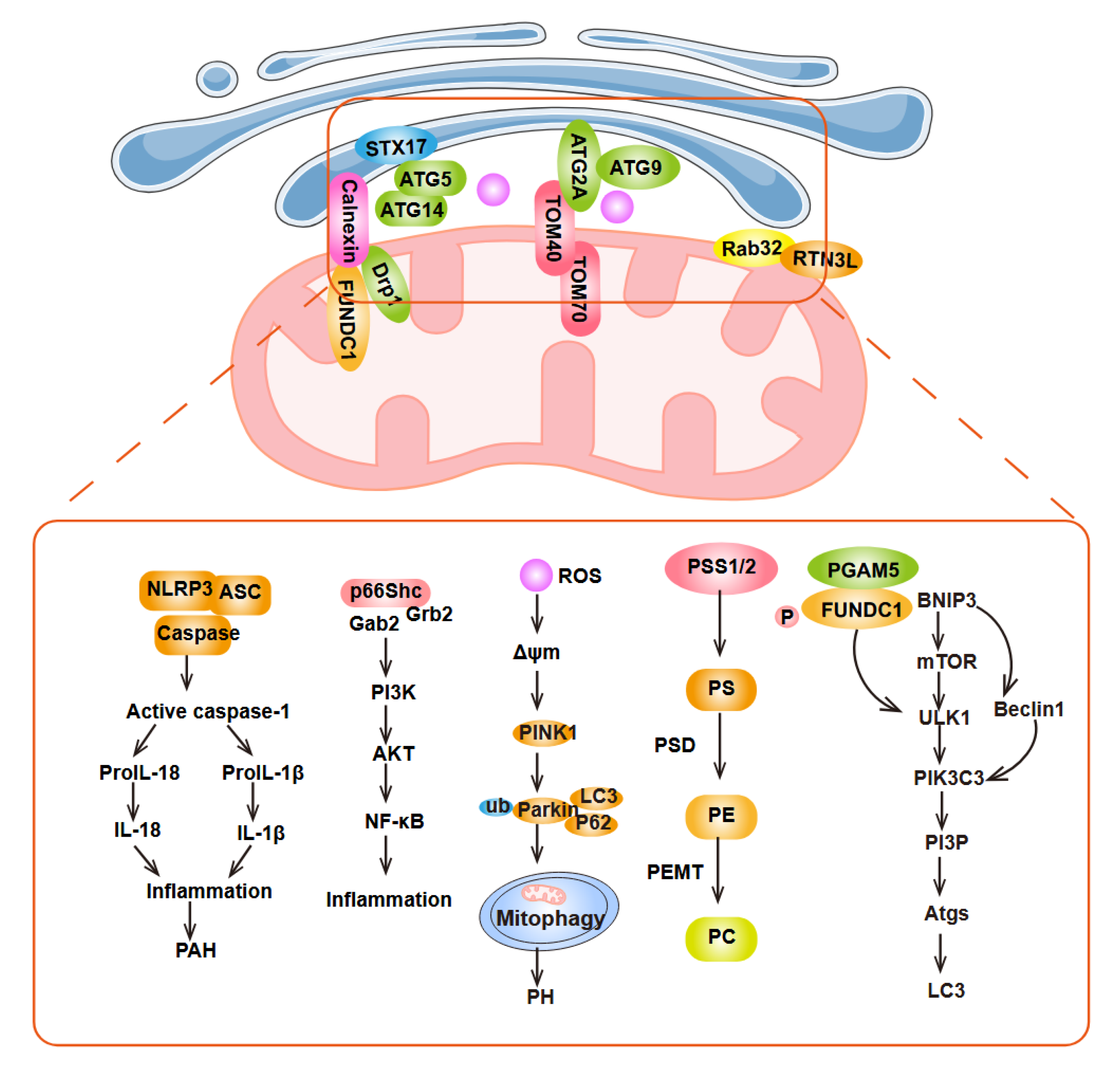Preprints 198337 g005