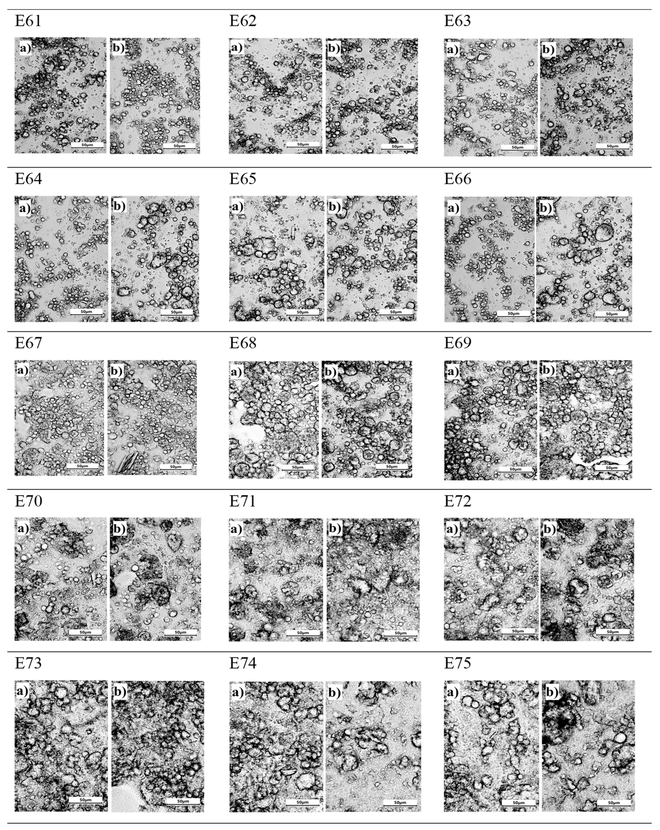 Preprints 143884 g004