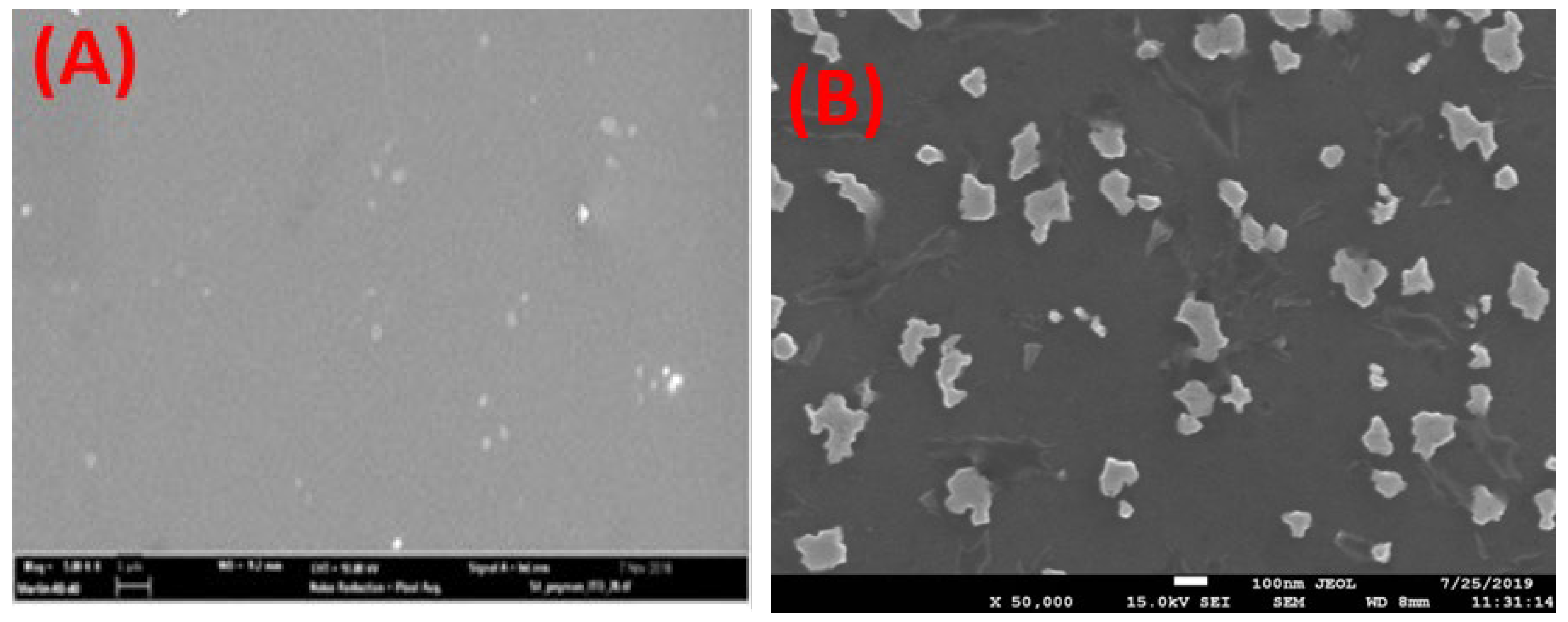 Preprints 146874 g003a