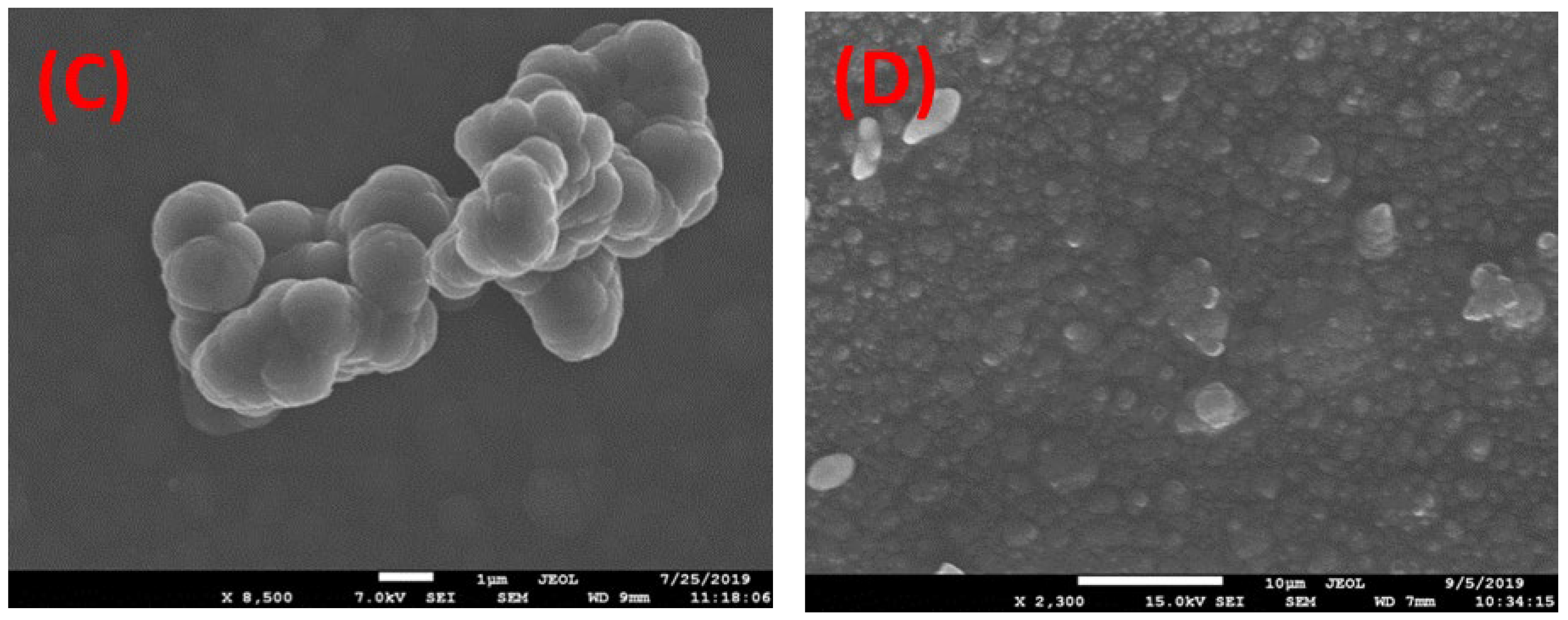 Preprints 146874 g003b