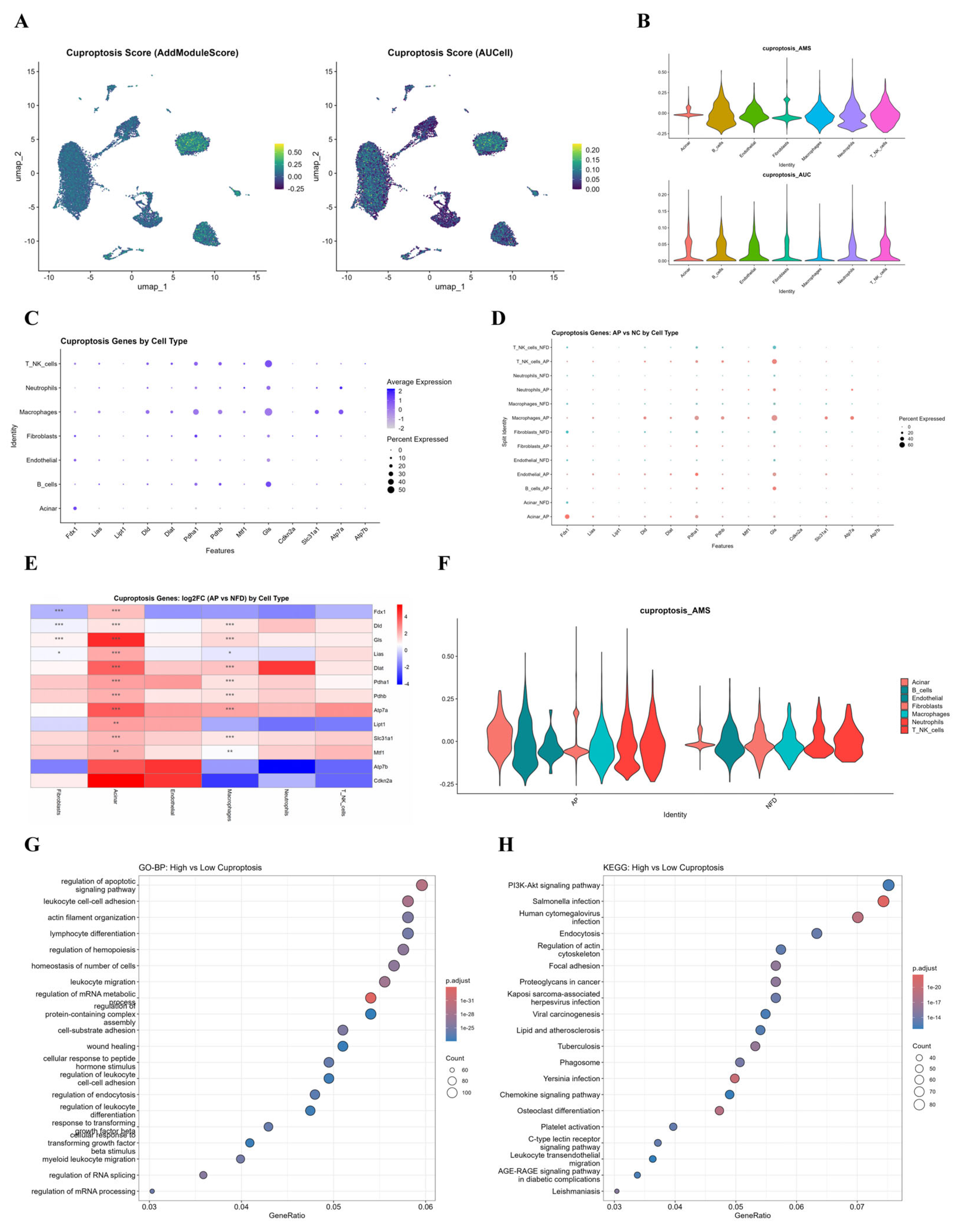Preprints 232623 g002 Preprints 232623 g002