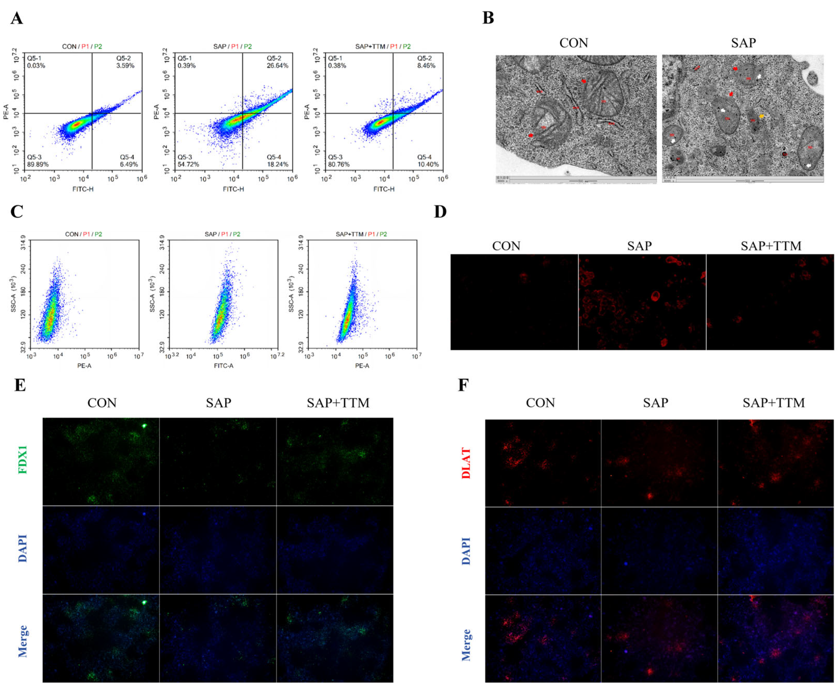 Preprints 232623 g010 Preprints 232623 g010