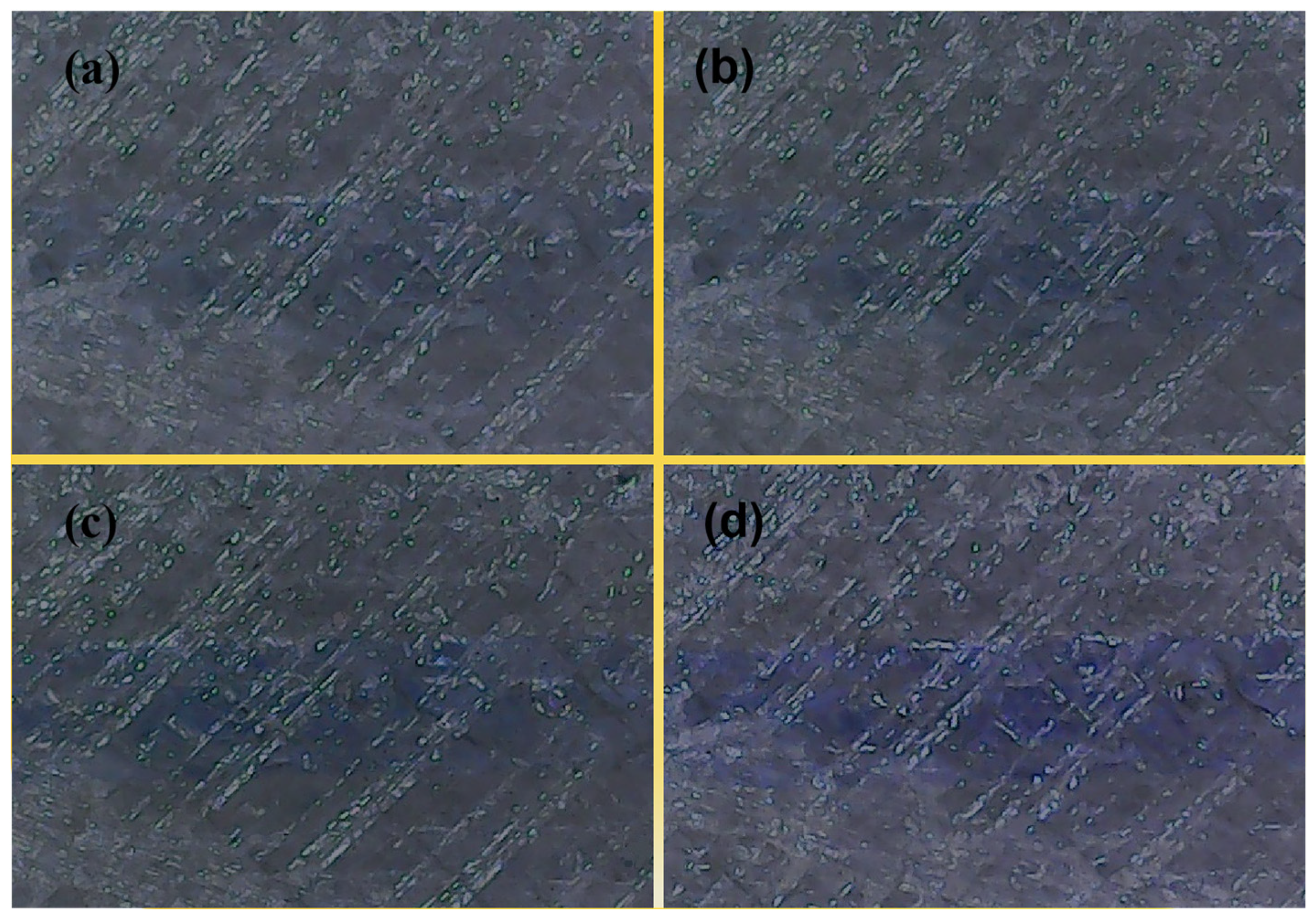 Preprints 148842 g013