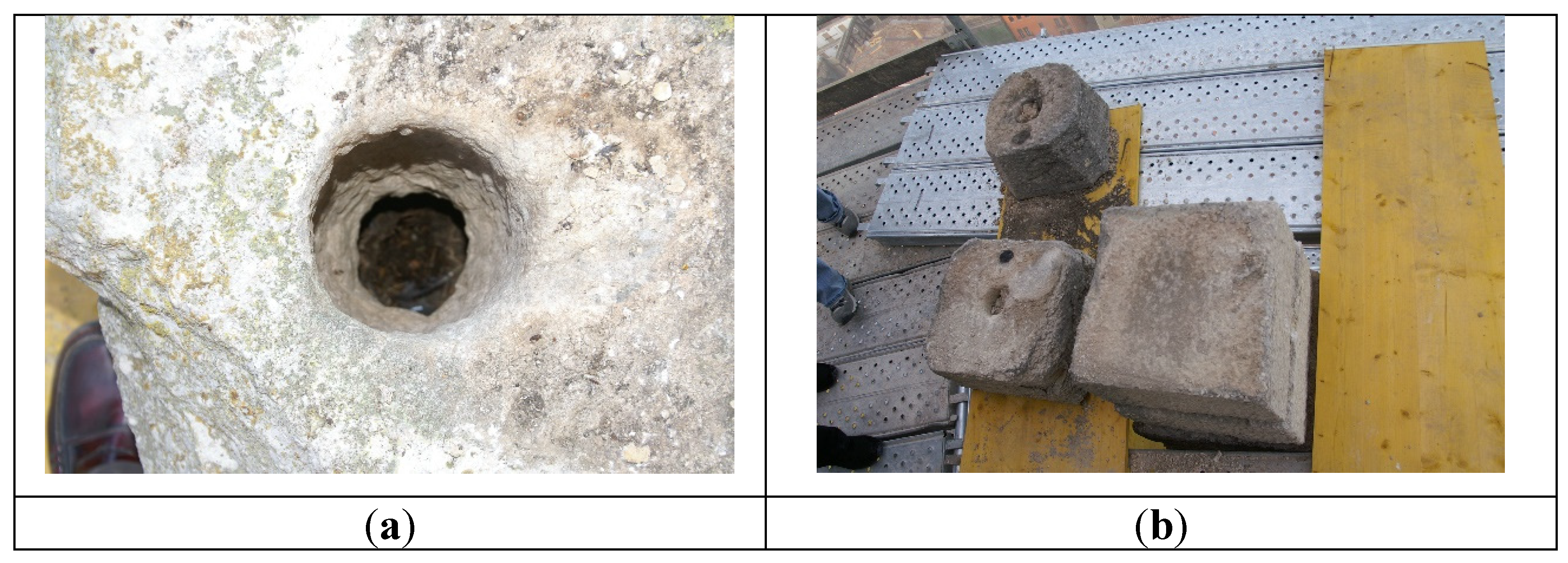 Preprints 154297 g001