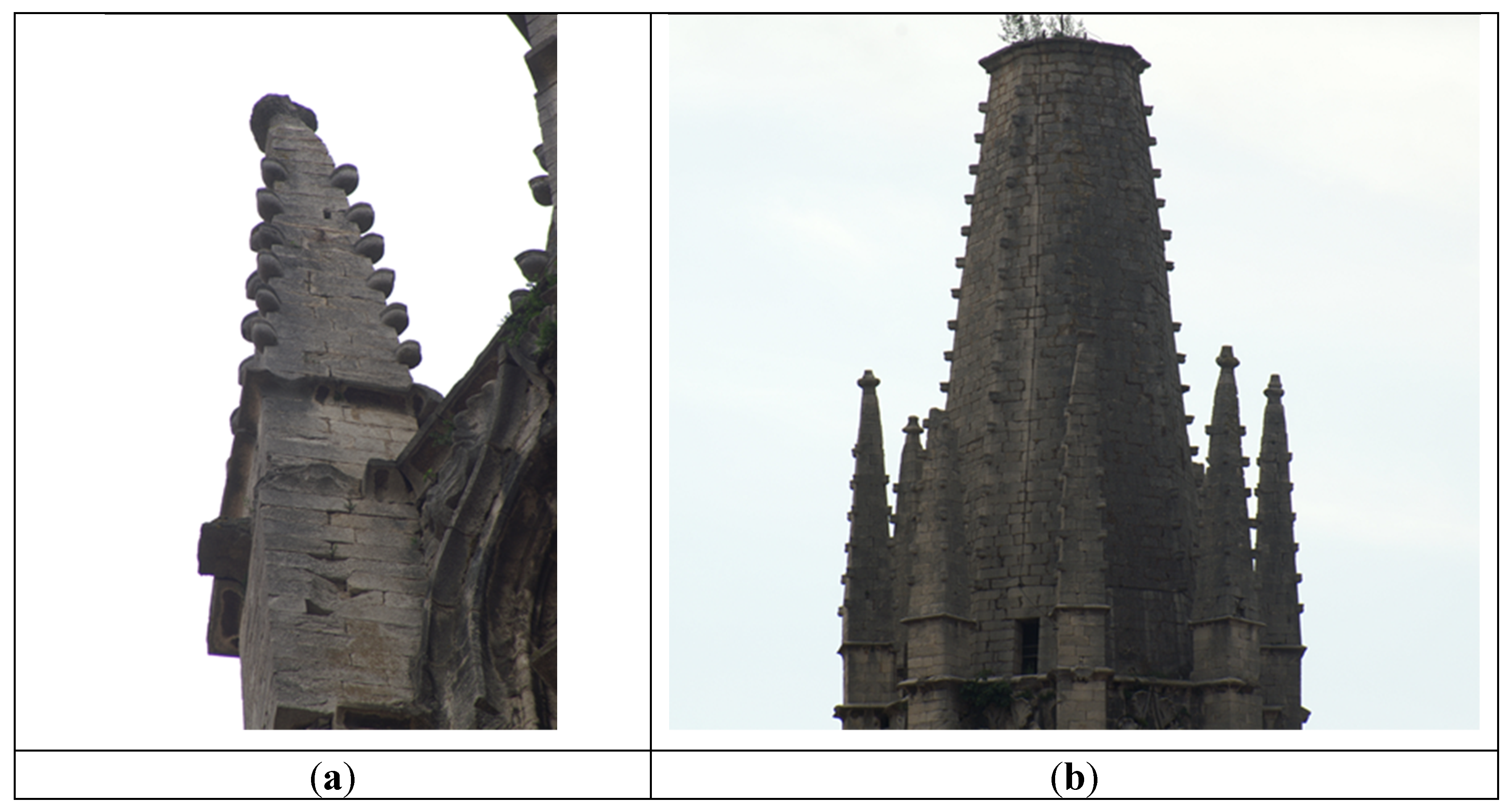 Preprints 154297 g002