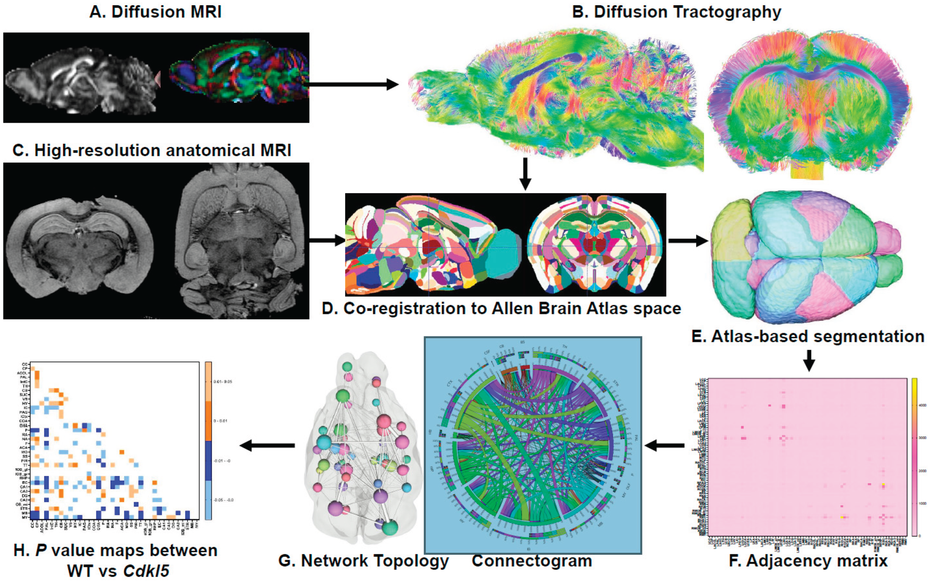 Preprints 197751 g001