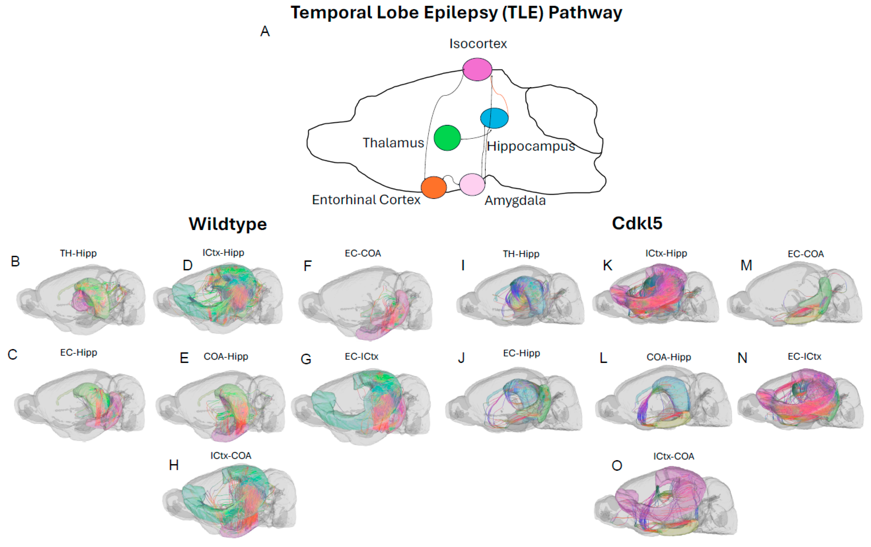Preprints 197751 g016