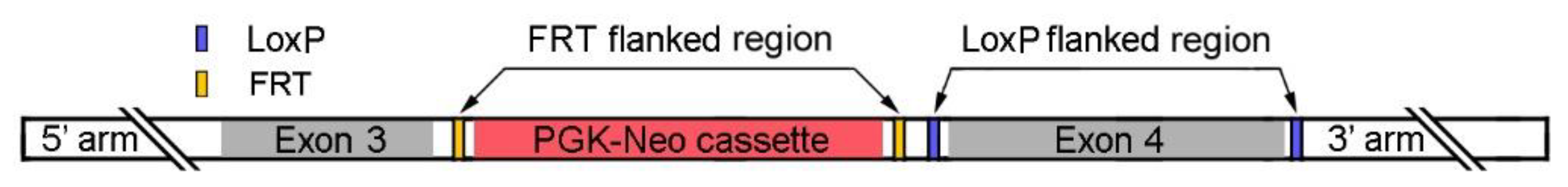 Preprints 191819 g001
