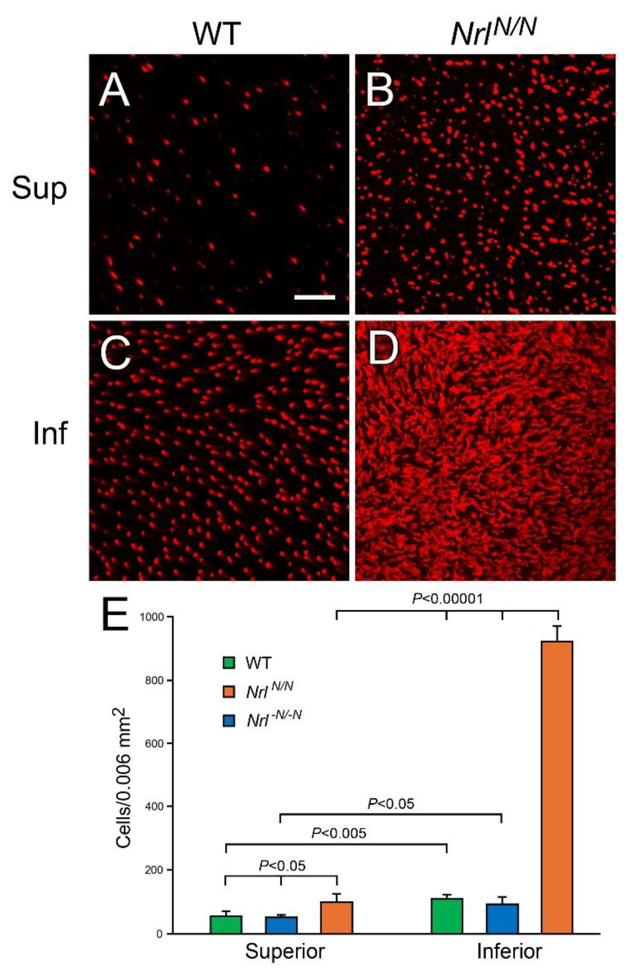 Preprints 191819 g004