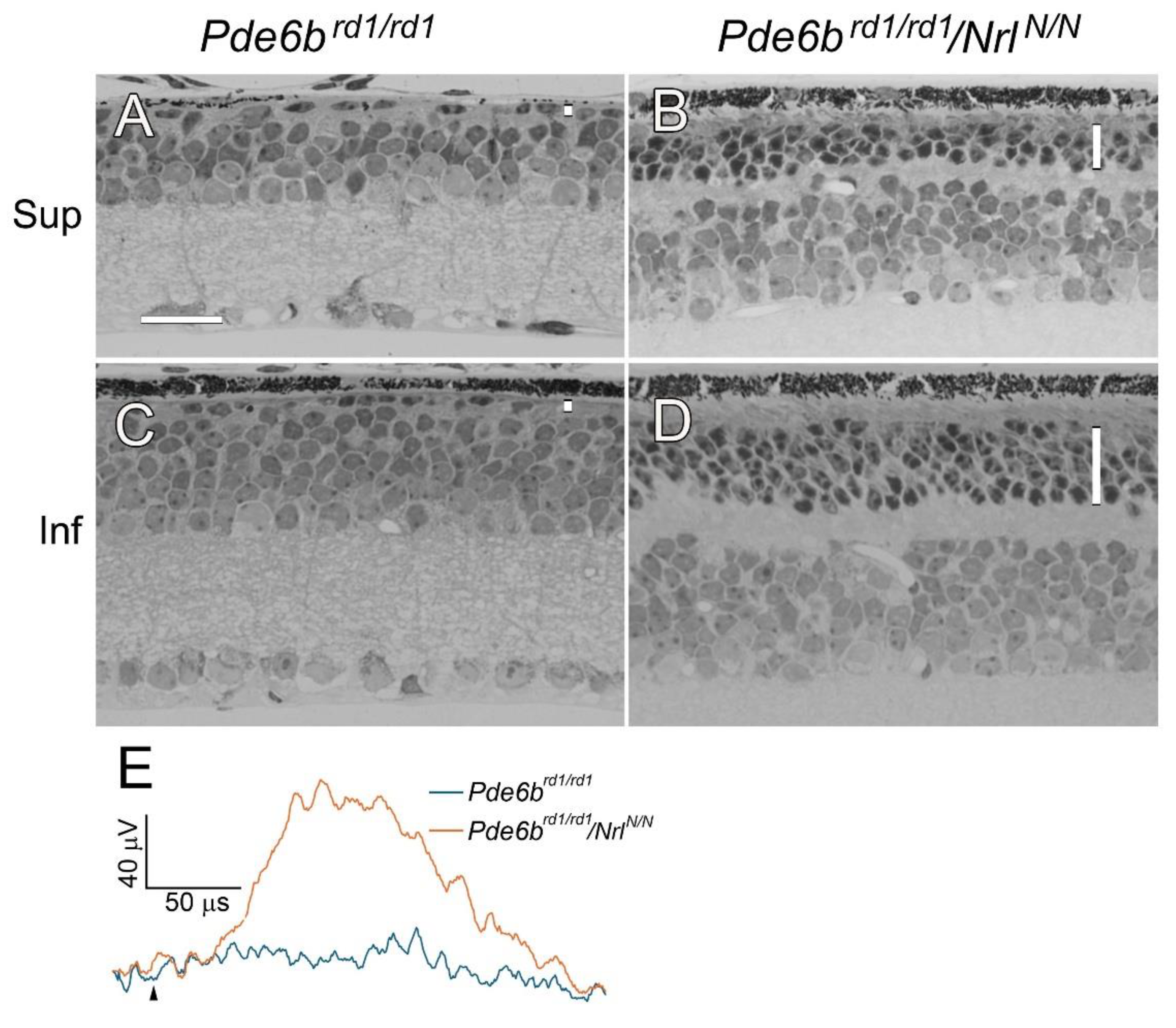 Preprints 191819 g005